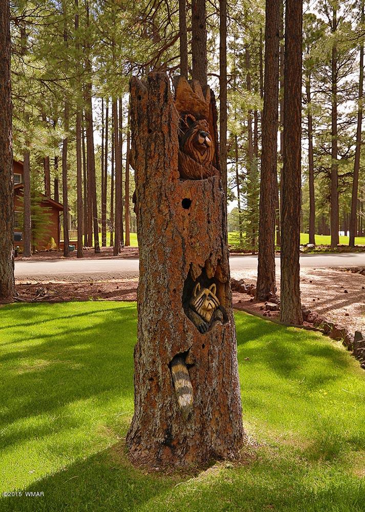 8188 Indian Bend Road Pinetop, AZ 85935 - Photo 4 of 24 Gallery Image 4