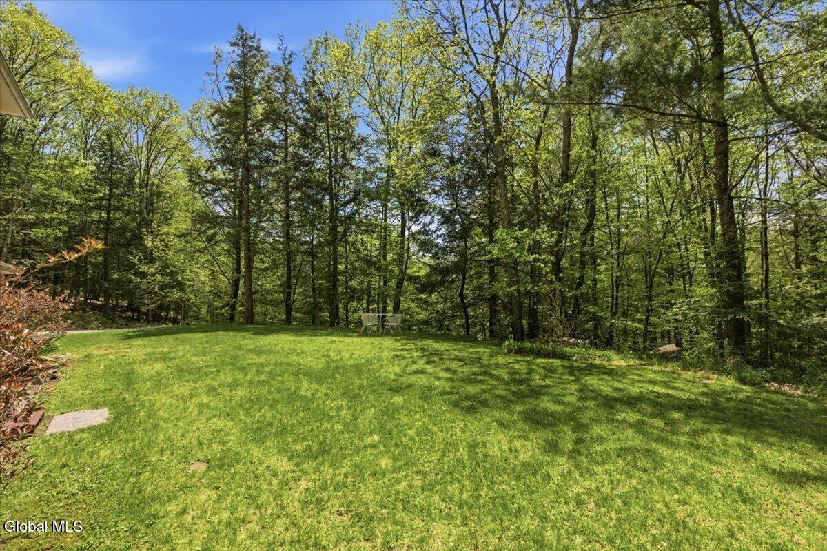 674 Momrow Road Sand Lake, NY 12153 - Photo 30 of 30 28-028_MW2_9828