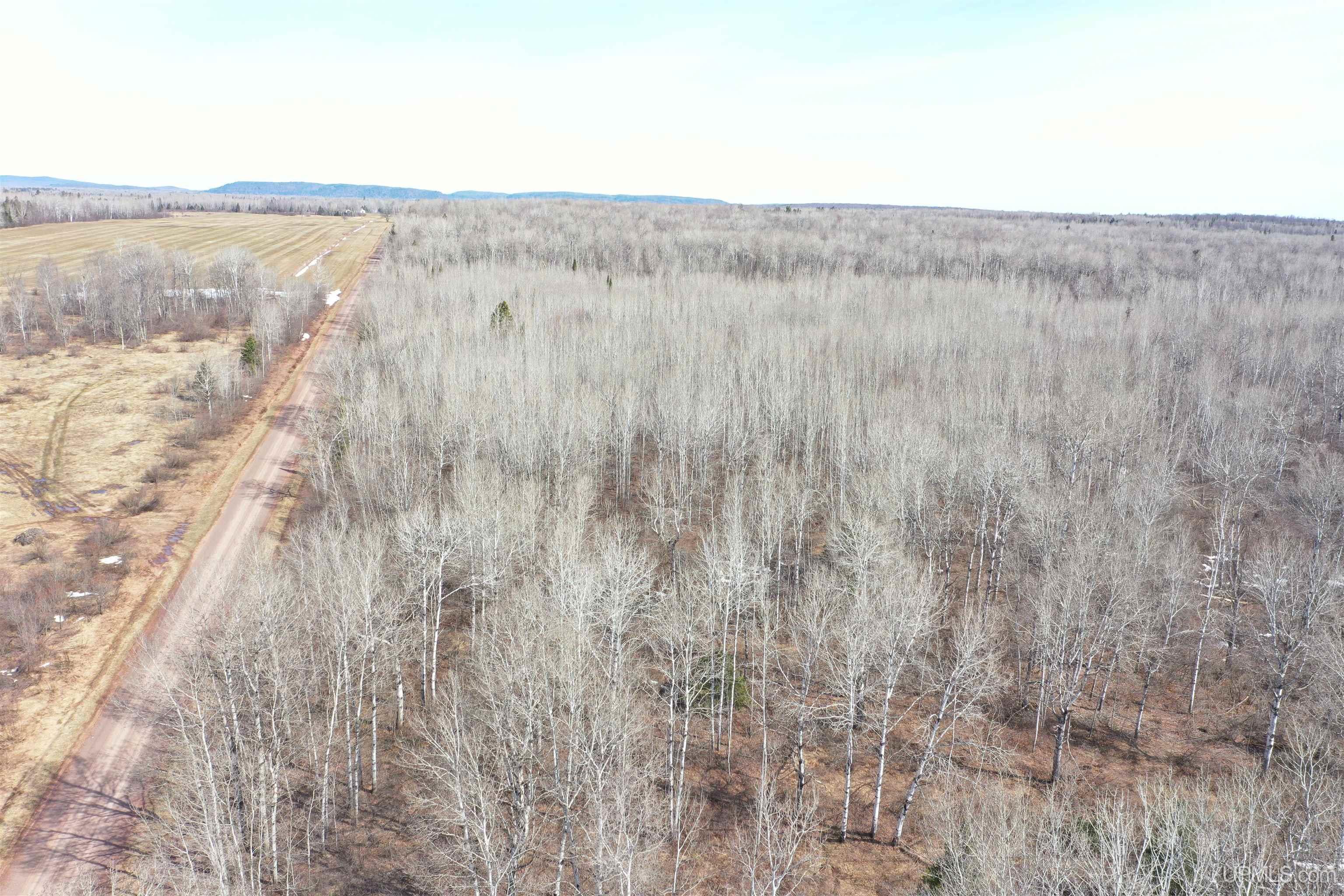 Tbd North Novak Road Ewen, MI 49925 - Photo 4 of 12