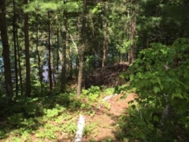 4205 Diamond Lake Road Woodruff, WI 54568 - Photo 13 of 16 Gallery Image 13