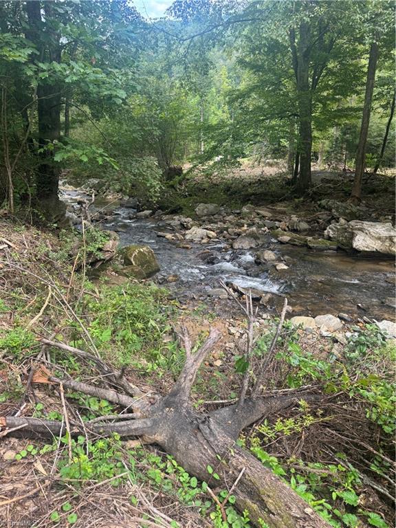 Tbd Stony Fork Road Ferguson, NC 28624 - Photo 12 of 14 Gallery Image 12