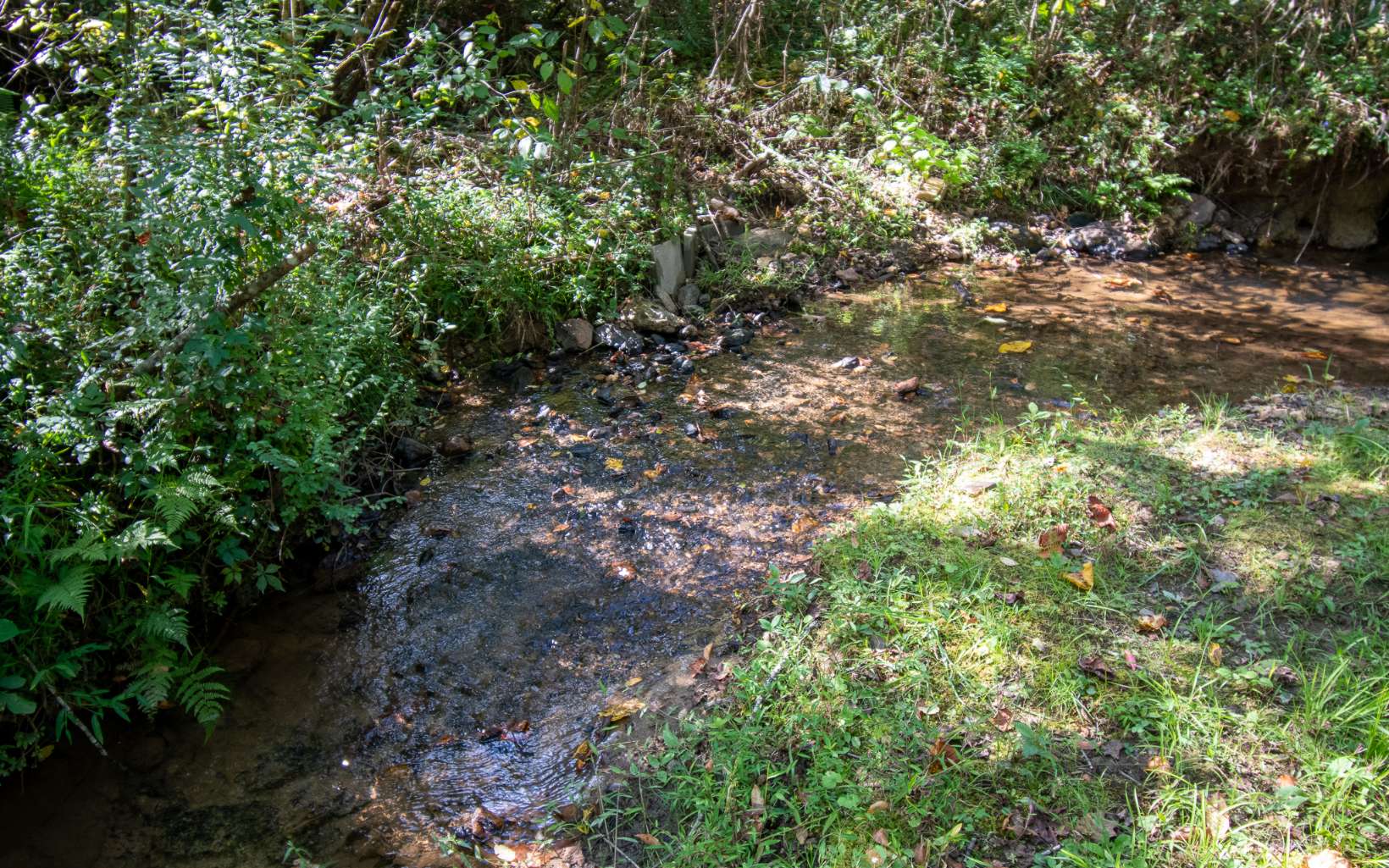 80 Kates Cv Road Murphy, NC 28906 - Photo 19 of 39 Additional View