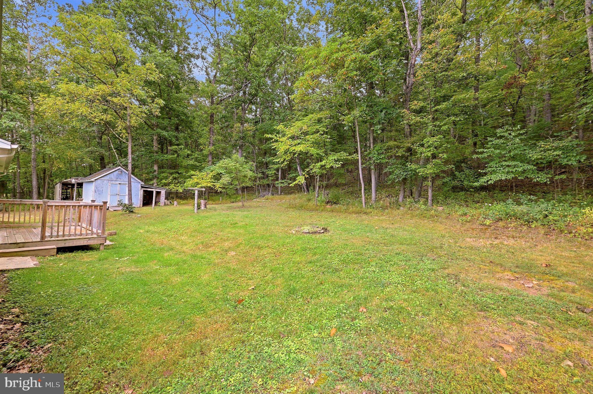 925 Christian Church Road High View, WV 26808 - Photo 38 of 55 Backyard