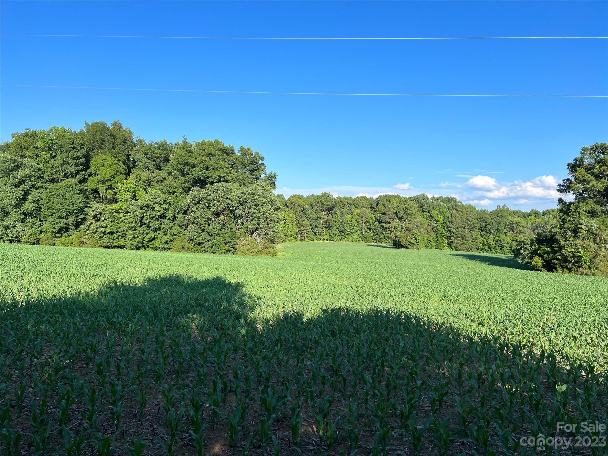 Vac Collie Road Gold Hill, NC 28071 - Photo 1 of 26 Gallery Image 1