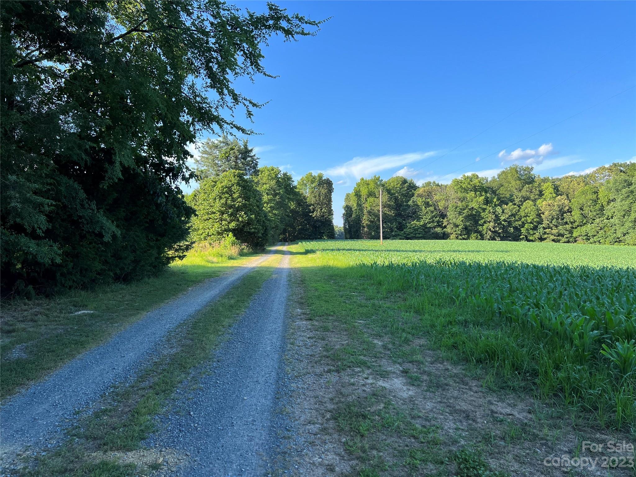 Vac Collie Road Gold Hill, NC 28071 - Photo 11 of 26 Gallery Image 11