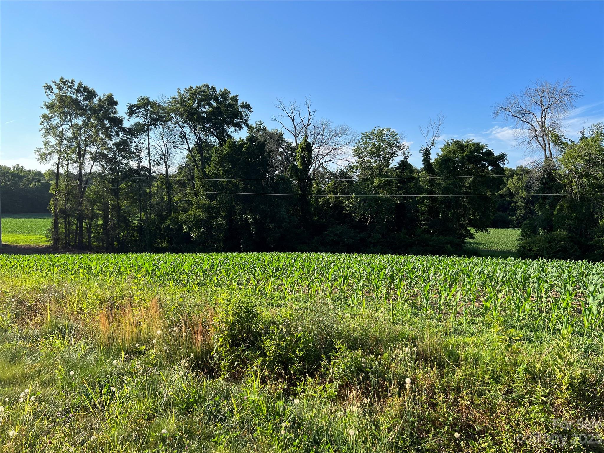 Vac Collie Road Gold Hill, NC 28071 - Photo 13 of 26 Gallery Image 13