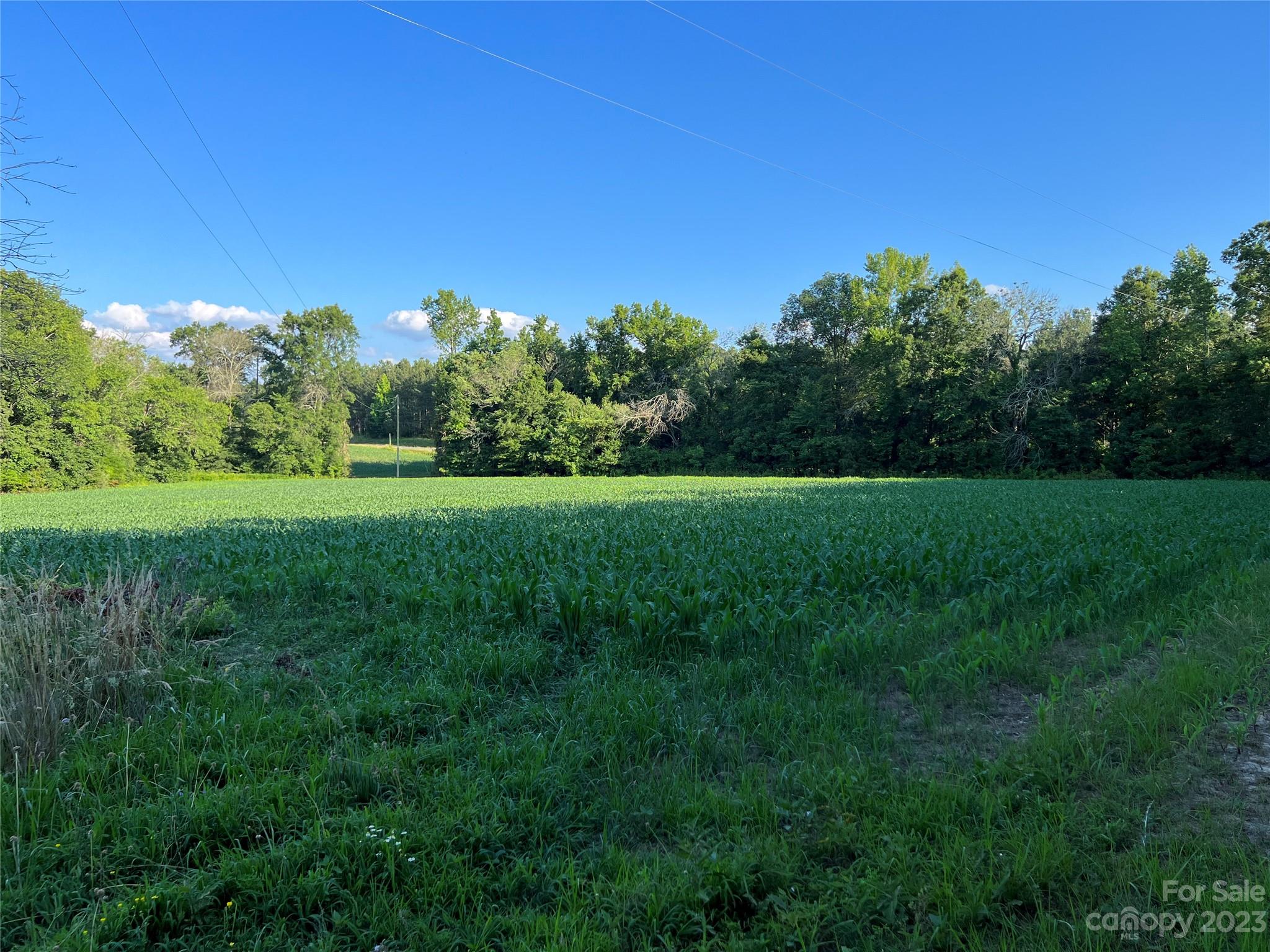 Vac Collie Road Gold Hill, NC 28071 - Photo 14 of 26 Gallery Image 14