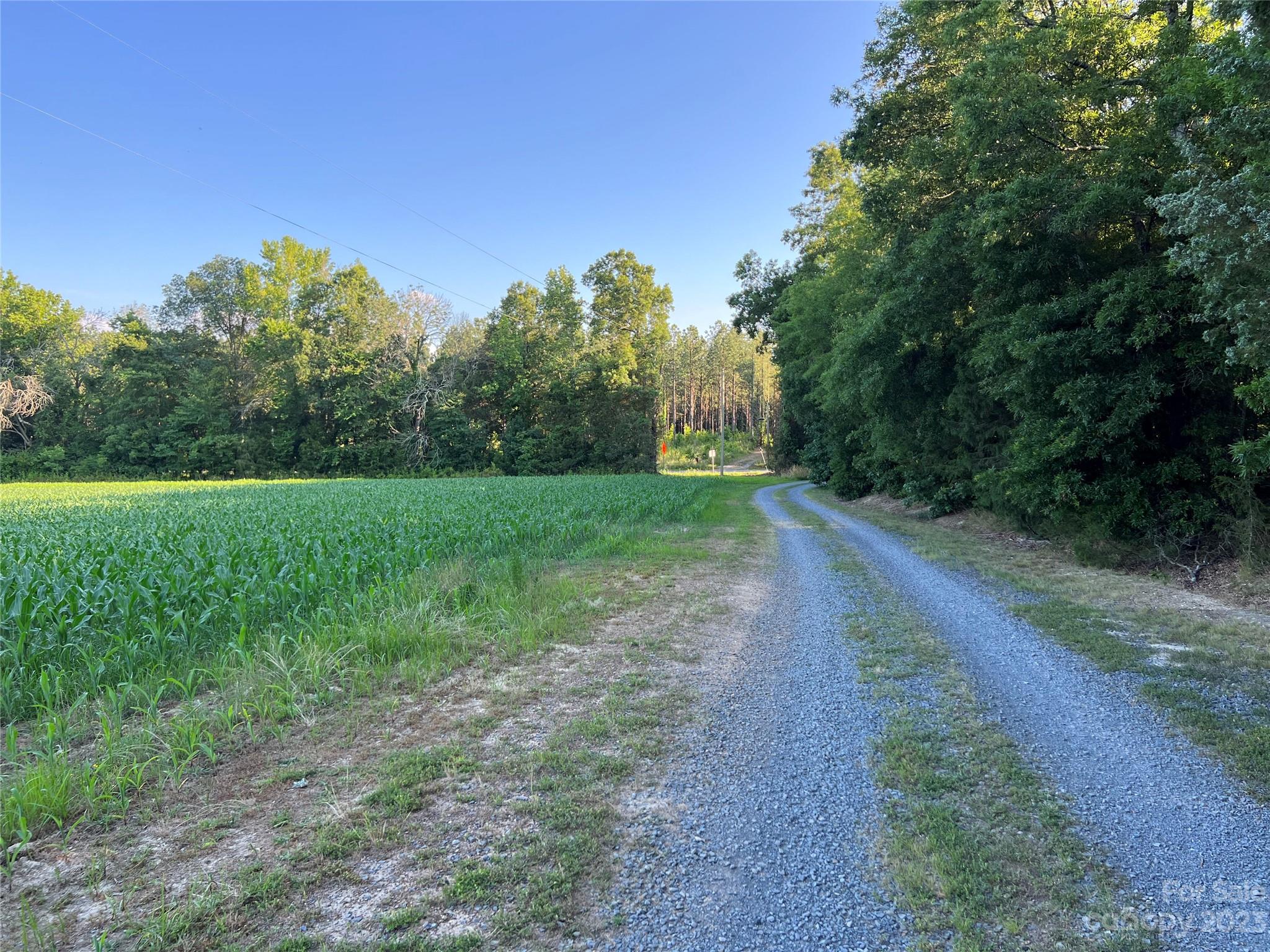 Vac Collie Road Gold Hill, NC 28071 - Photo 15 of 26 Gallery Image 15