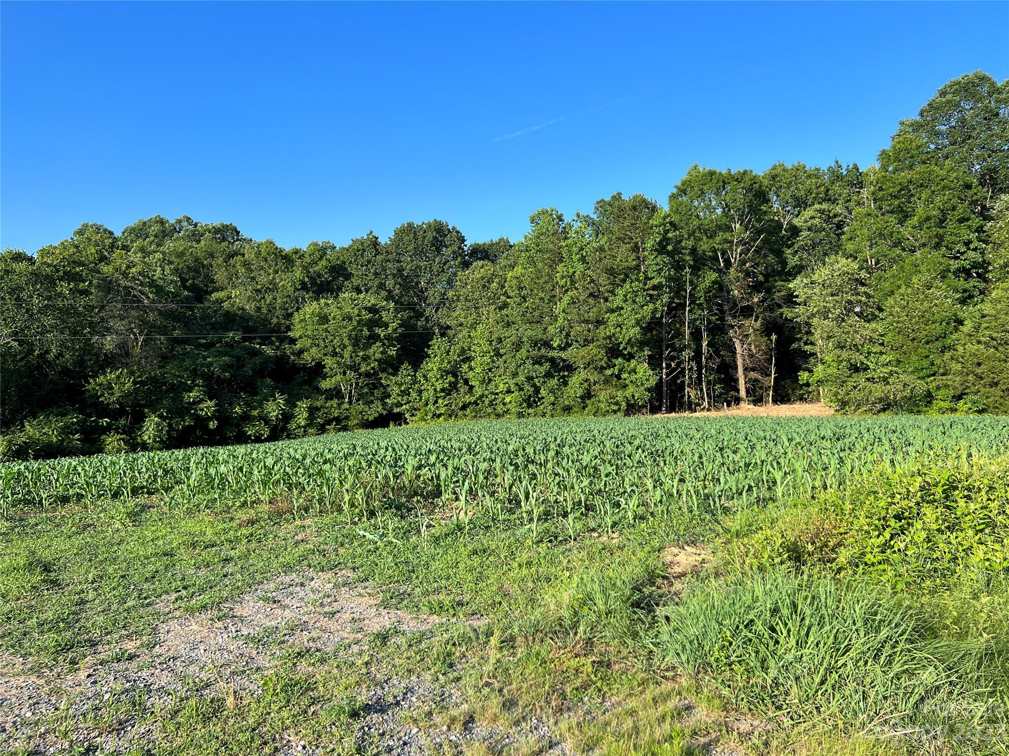 Vac Collie Road Gold Hill, NC 28071 - Photo 16 of 26 Gallery Image 16