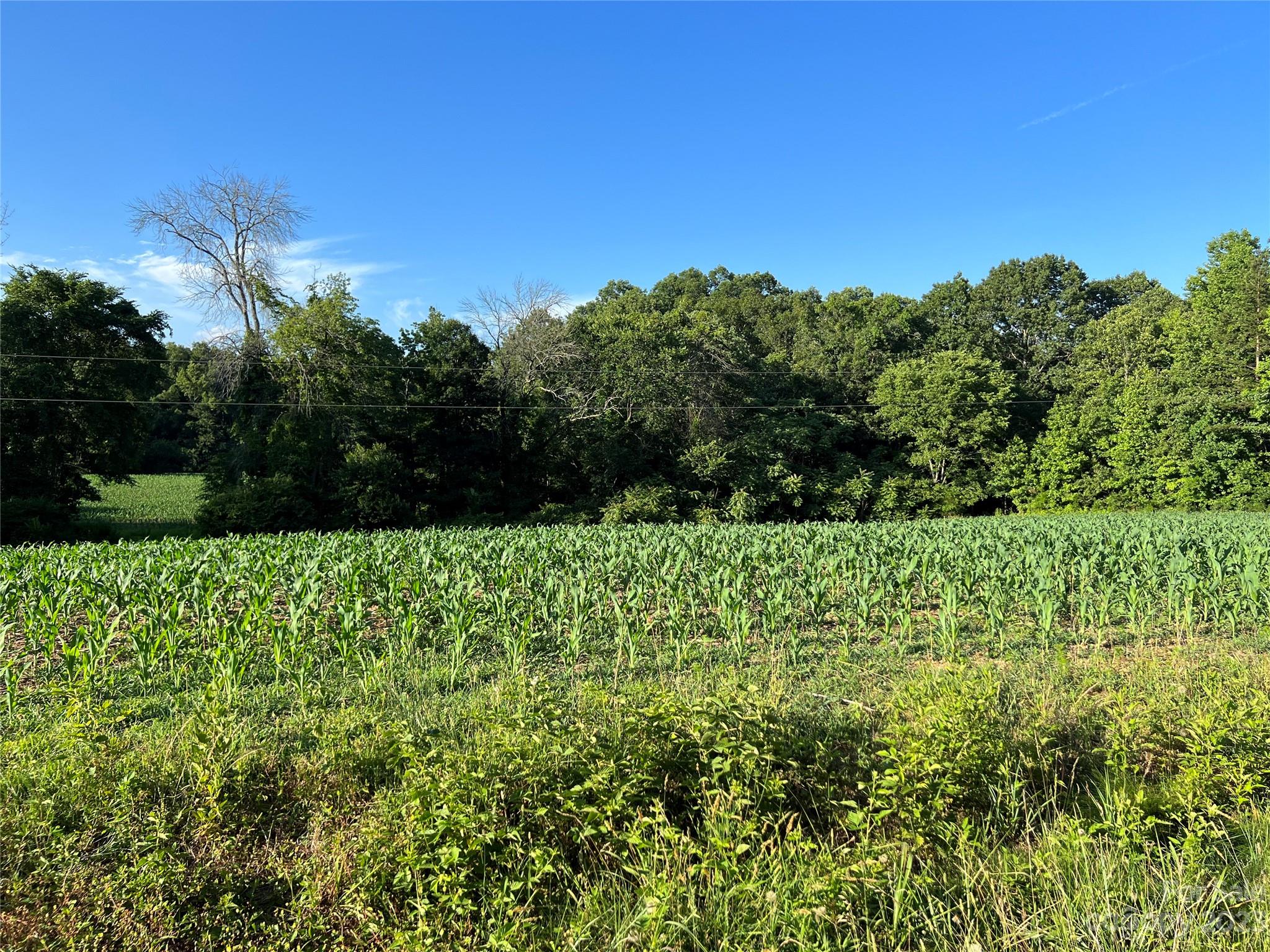 Vac Collie Road Gold Hill, NC 28071 - Photo 17 of 26 Gallery Image 17