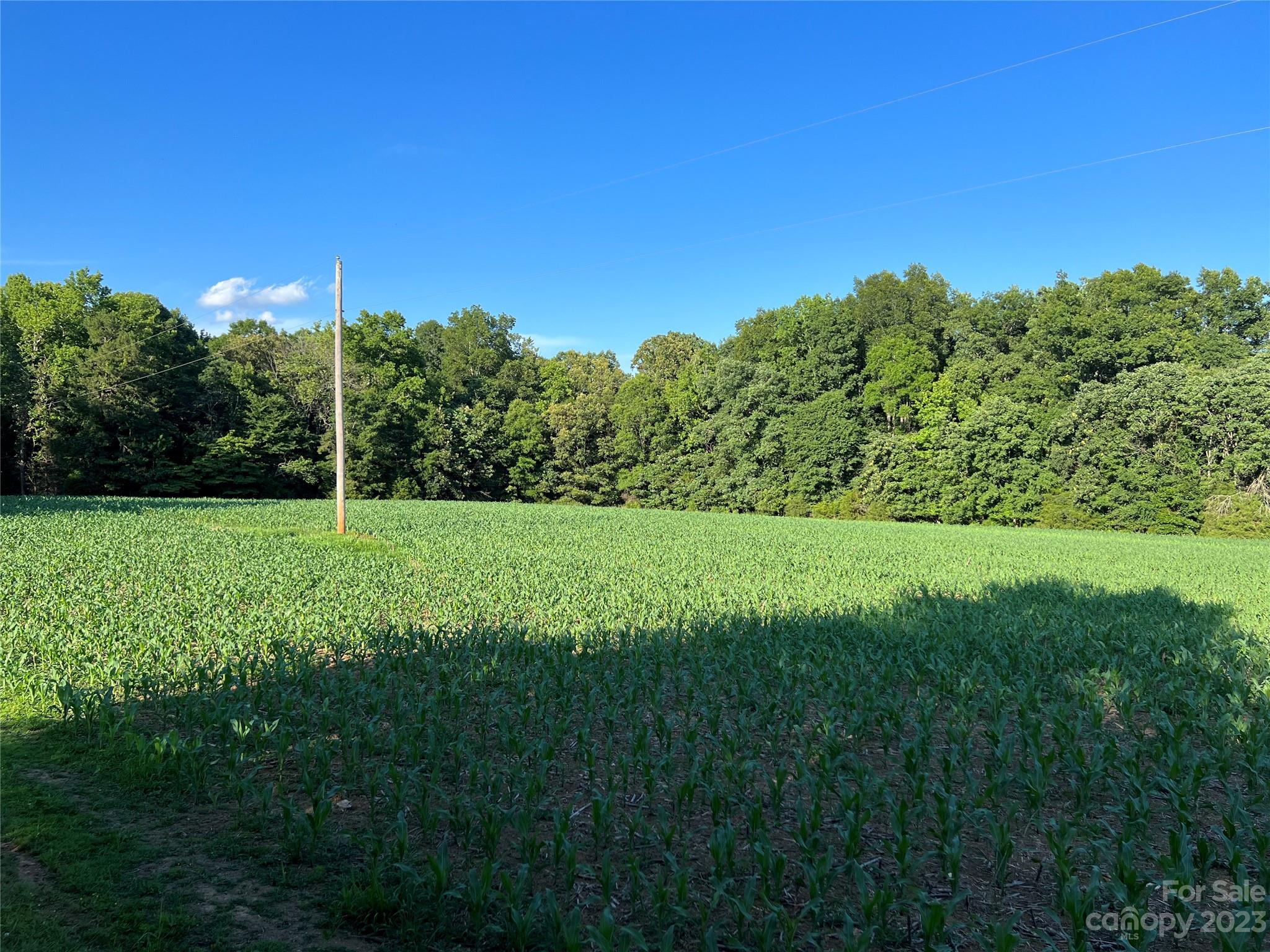 Vac Collie Road Gold Hill, NC 28071 - Photo 2 of 26 Gallery Image 2