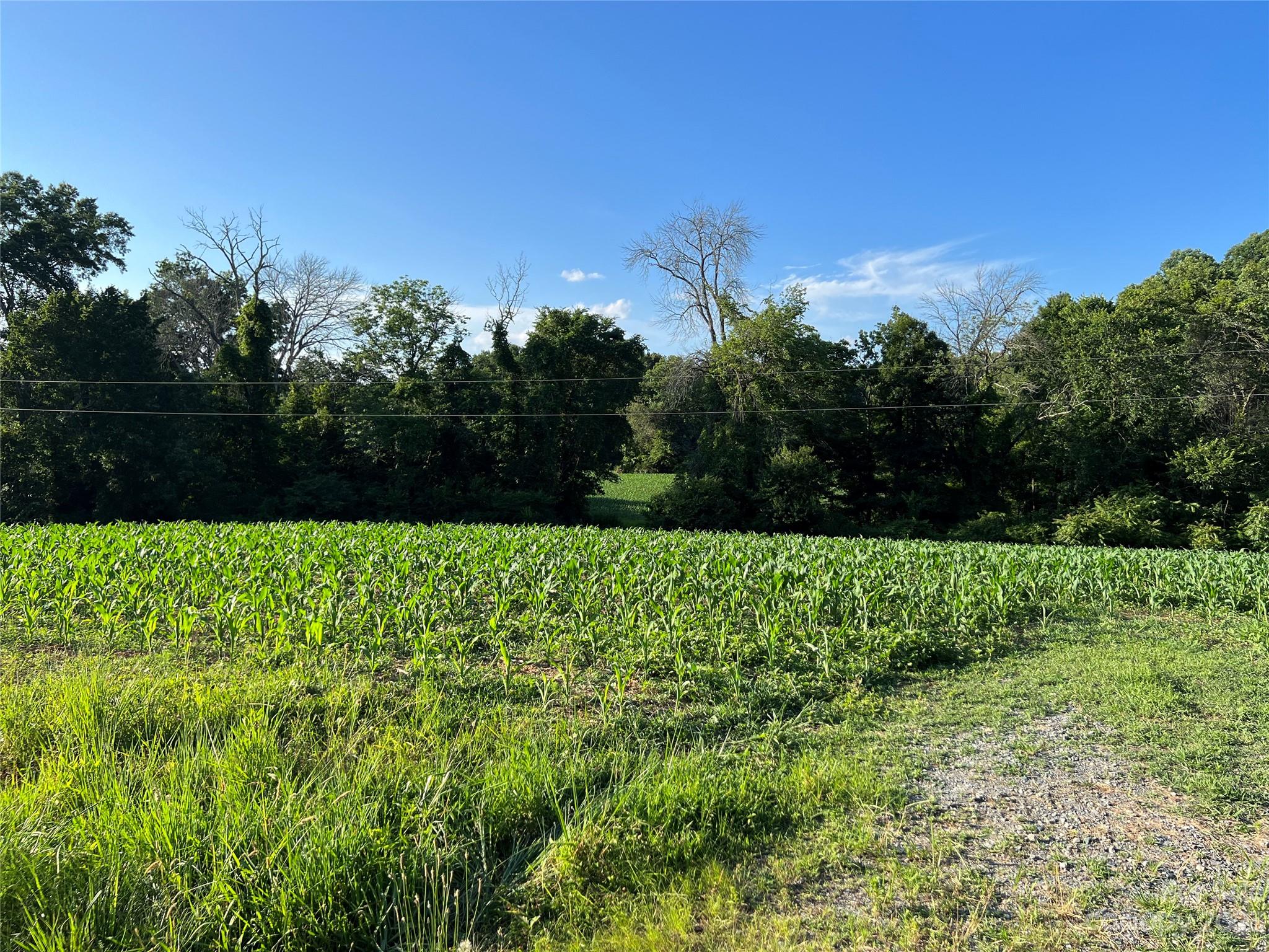 Vac Collie Road Gold Hill, NC 28071 - Photo 26 of 26 Gallery Image 26