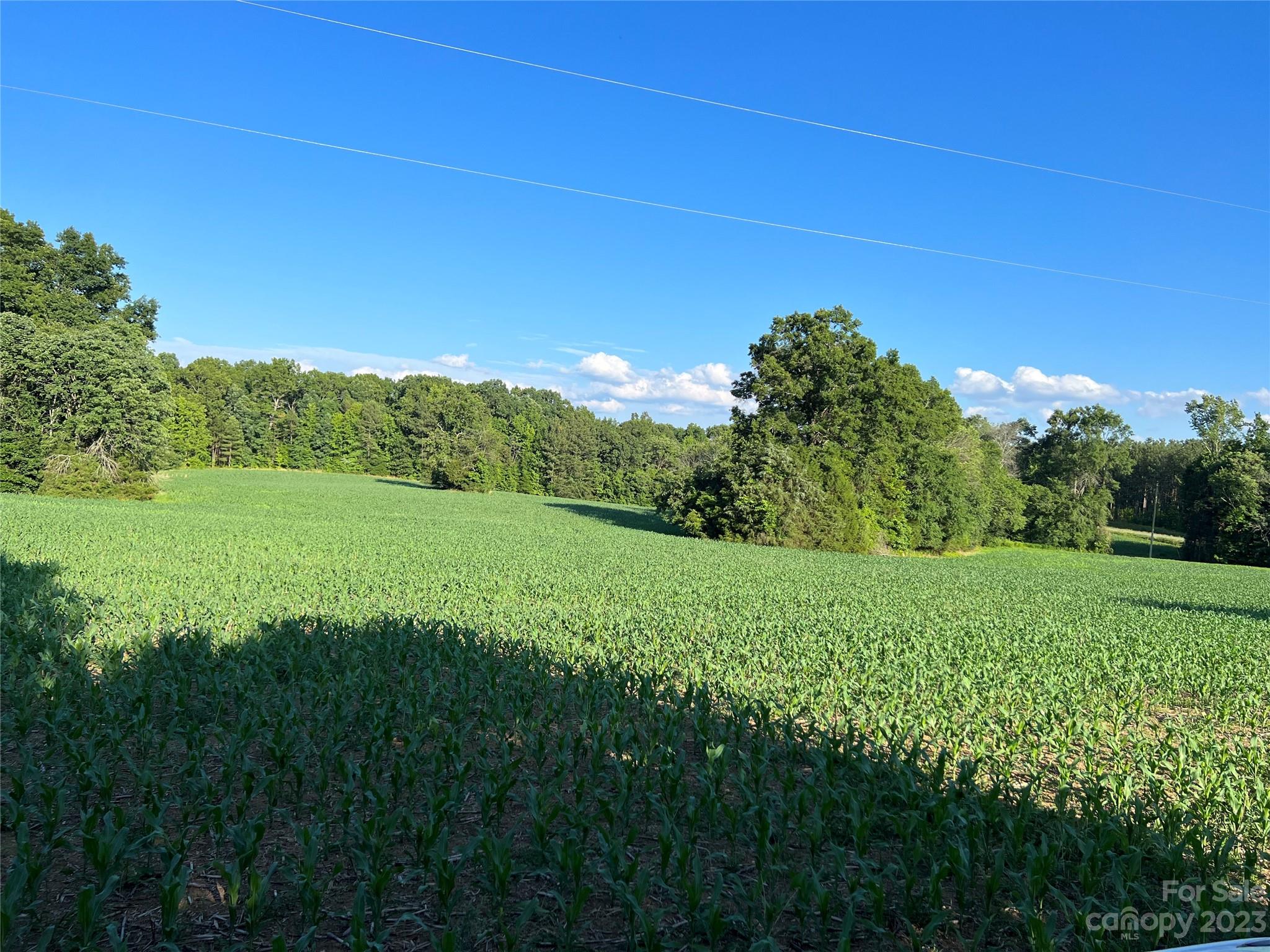 Vac Collie Road Gold Hill, NC 28071 - Photo 3 of 26 Gallery Image 3