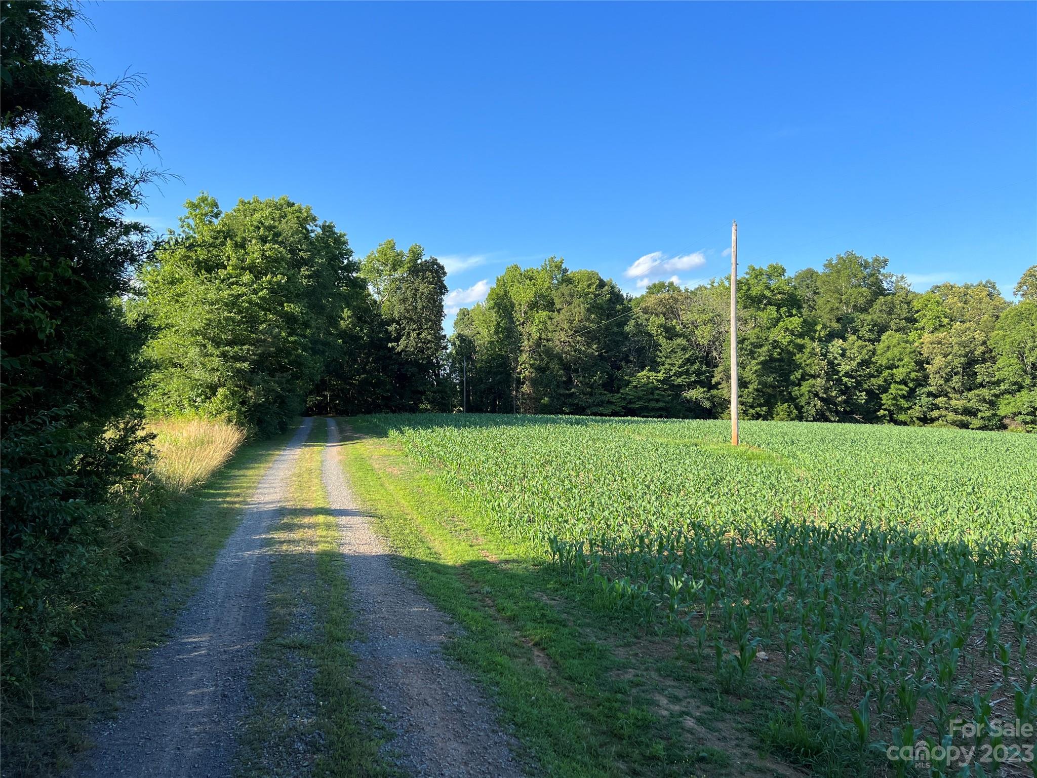 Vac Collie Road Gold Hill, NC 28071 - Photo 4 of 26 Gallery Image 4