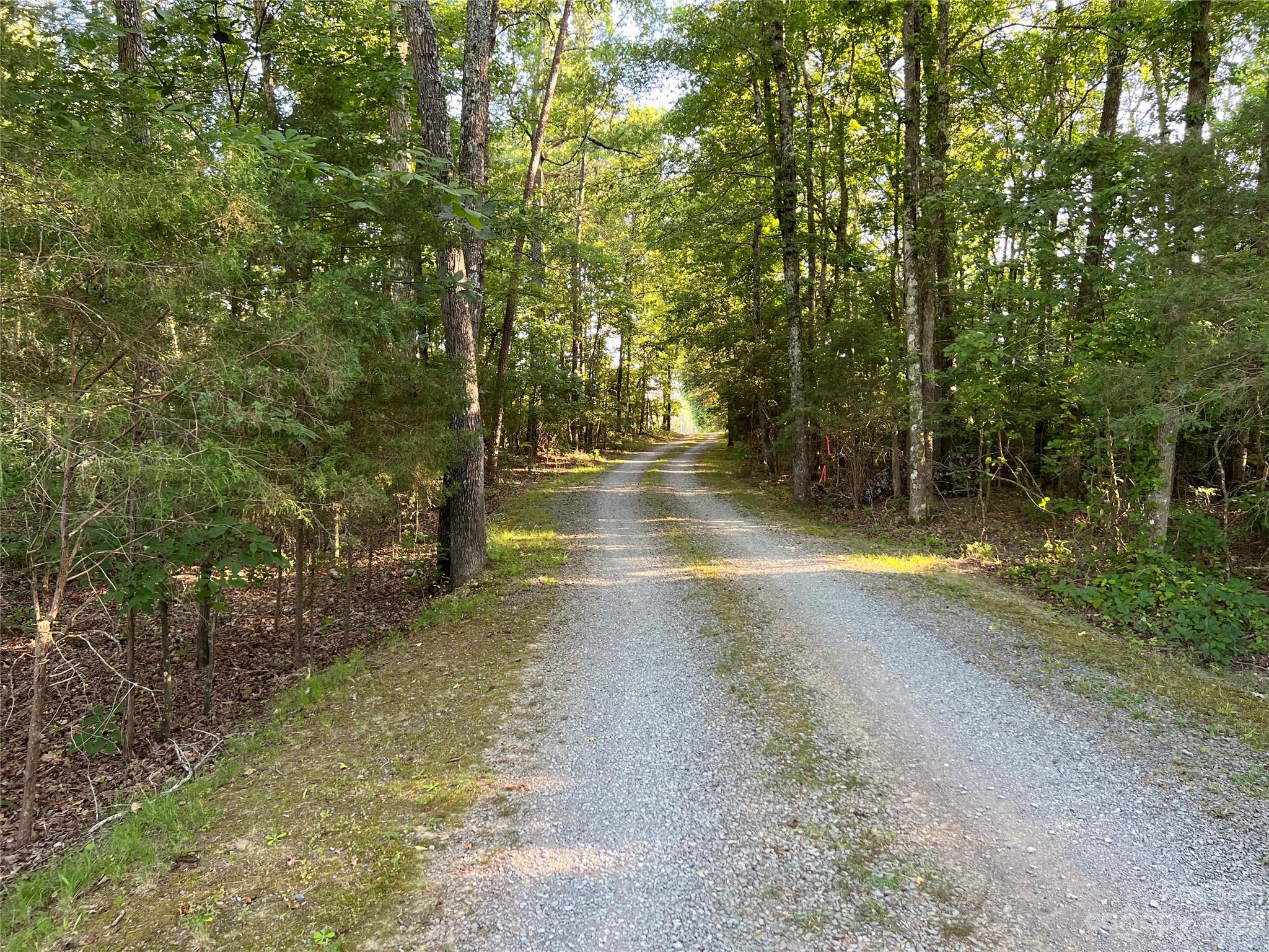 Vac Collie Road Gold Hill, NC 28071 - Photo 6 of 26 Gallery Image 6