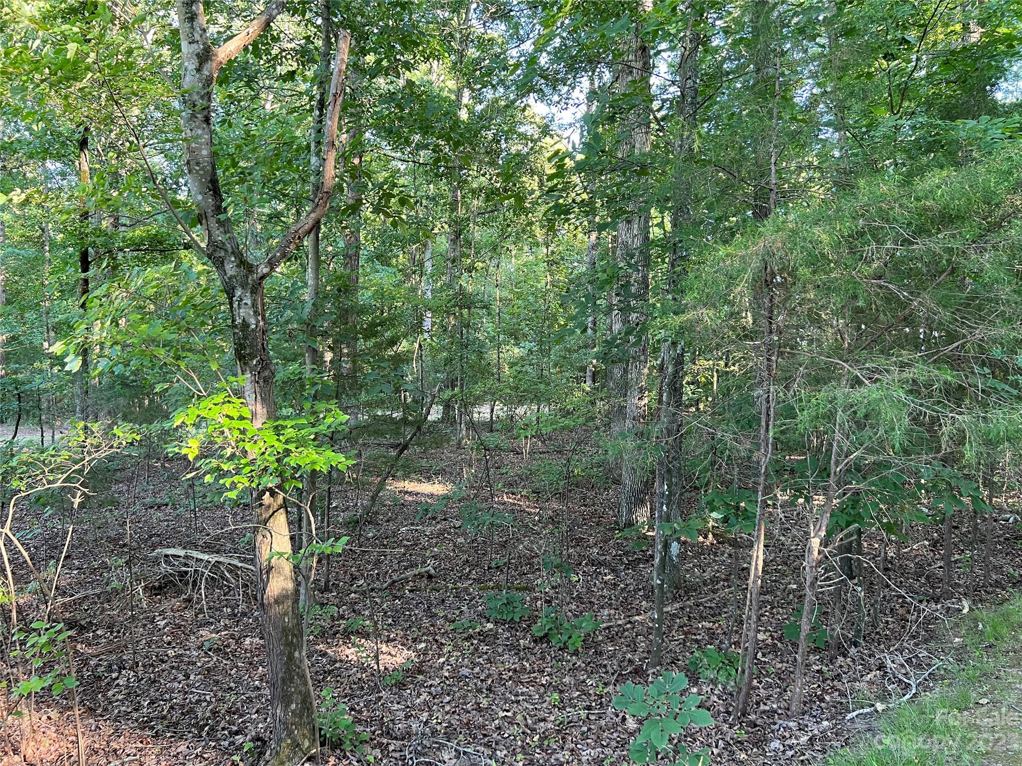 Vac Collie Road Gold Hill, NC 28071 - Photo 7 of 26 Gallery Image 7