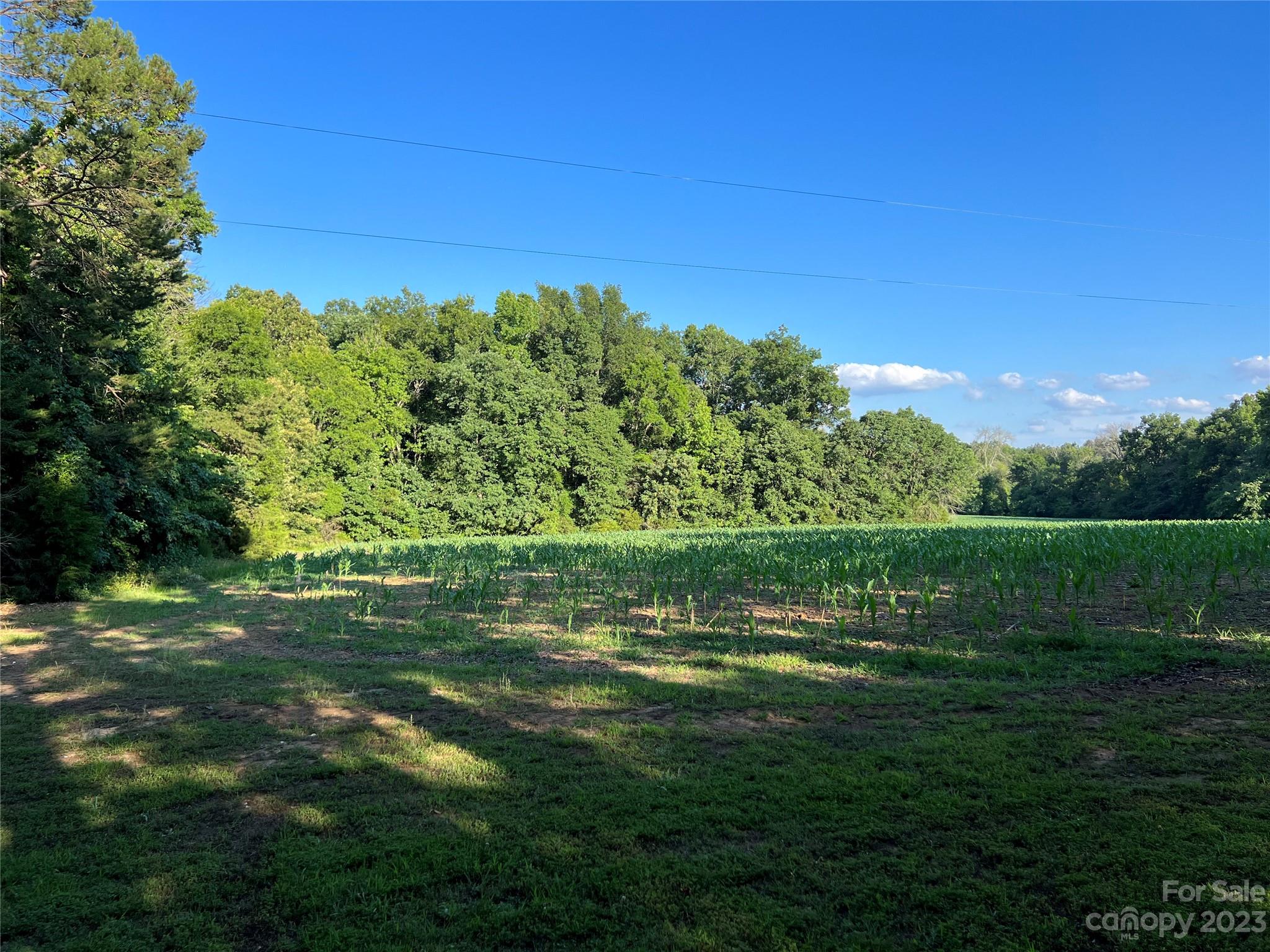 Vac Collie Road Gold Hill, NC 28071 - Photo 8 of 26 Gallery Image 8