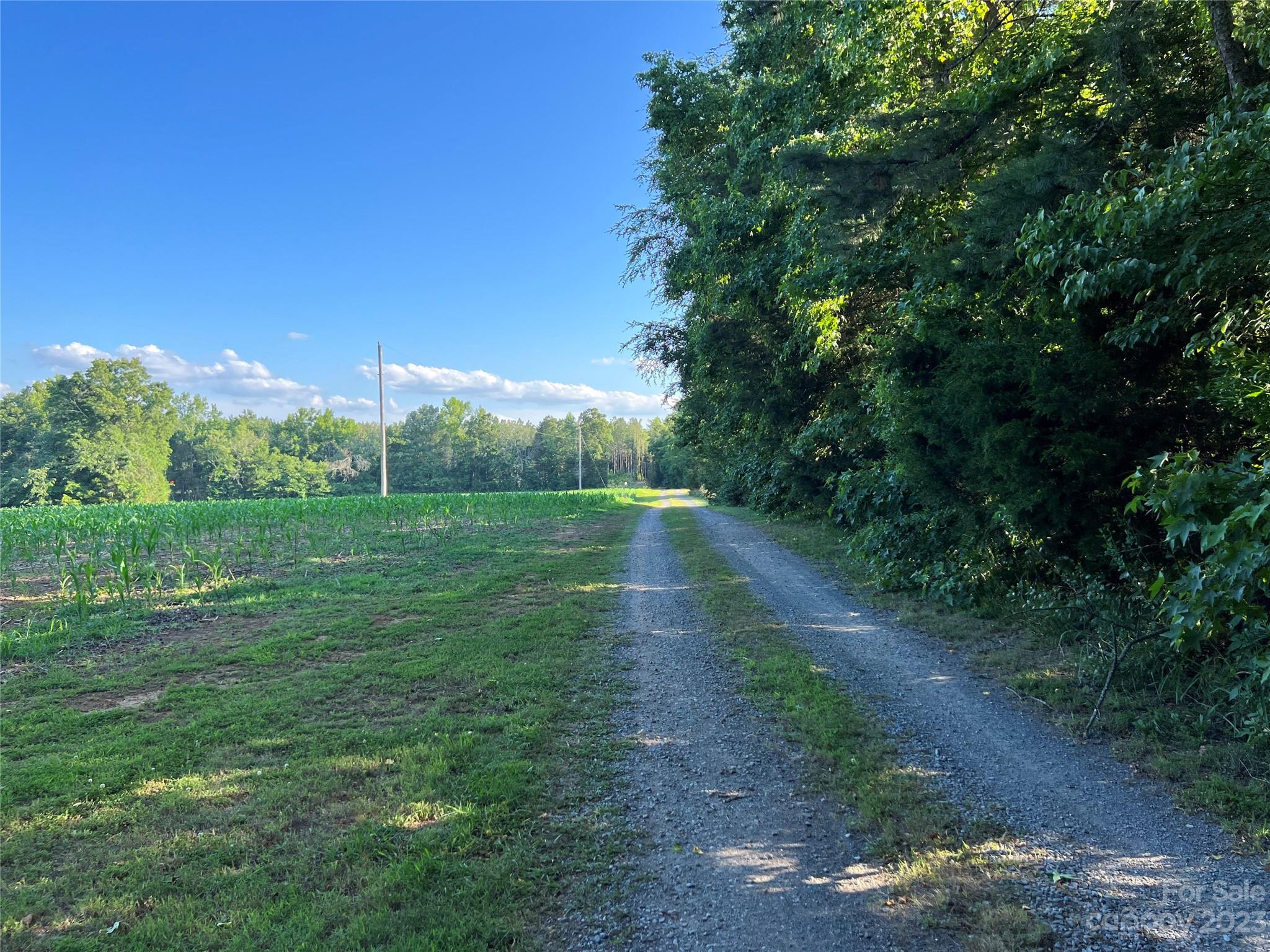 Vac Collie Road Gold Hill, NC 28071 - Photo 10 of 26 Gallery Image 10