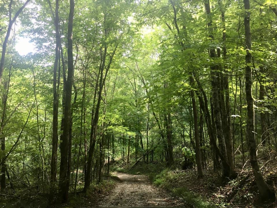 0 Albert Morgan Road Summer Shade, KY 42166 - Photo 23 of 23 Gallery Image 23