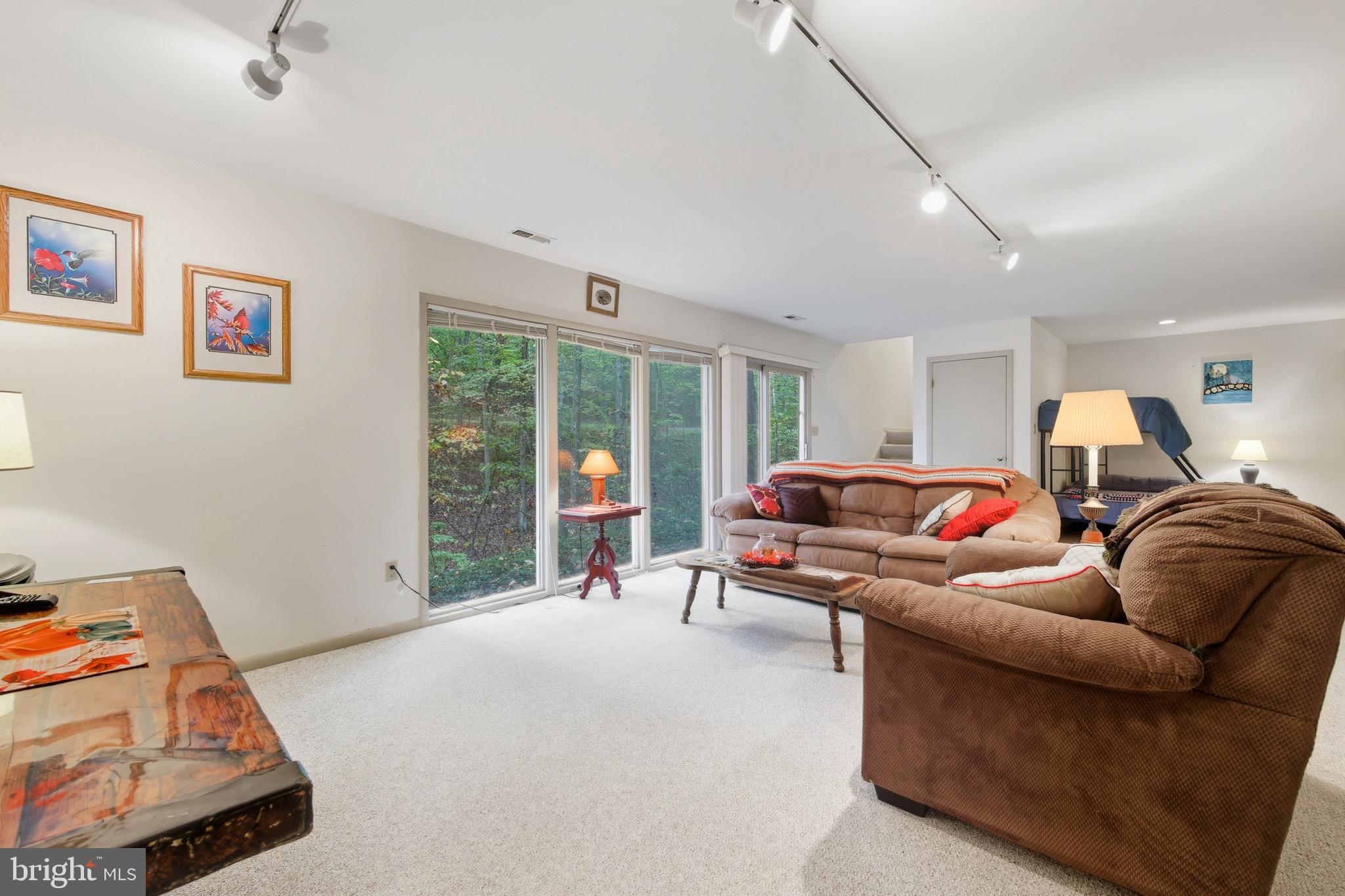 16 Spruce Hollow Road Basye, VA 22842 - Photo 34 of 50 a living room with furniture window and flowerpot