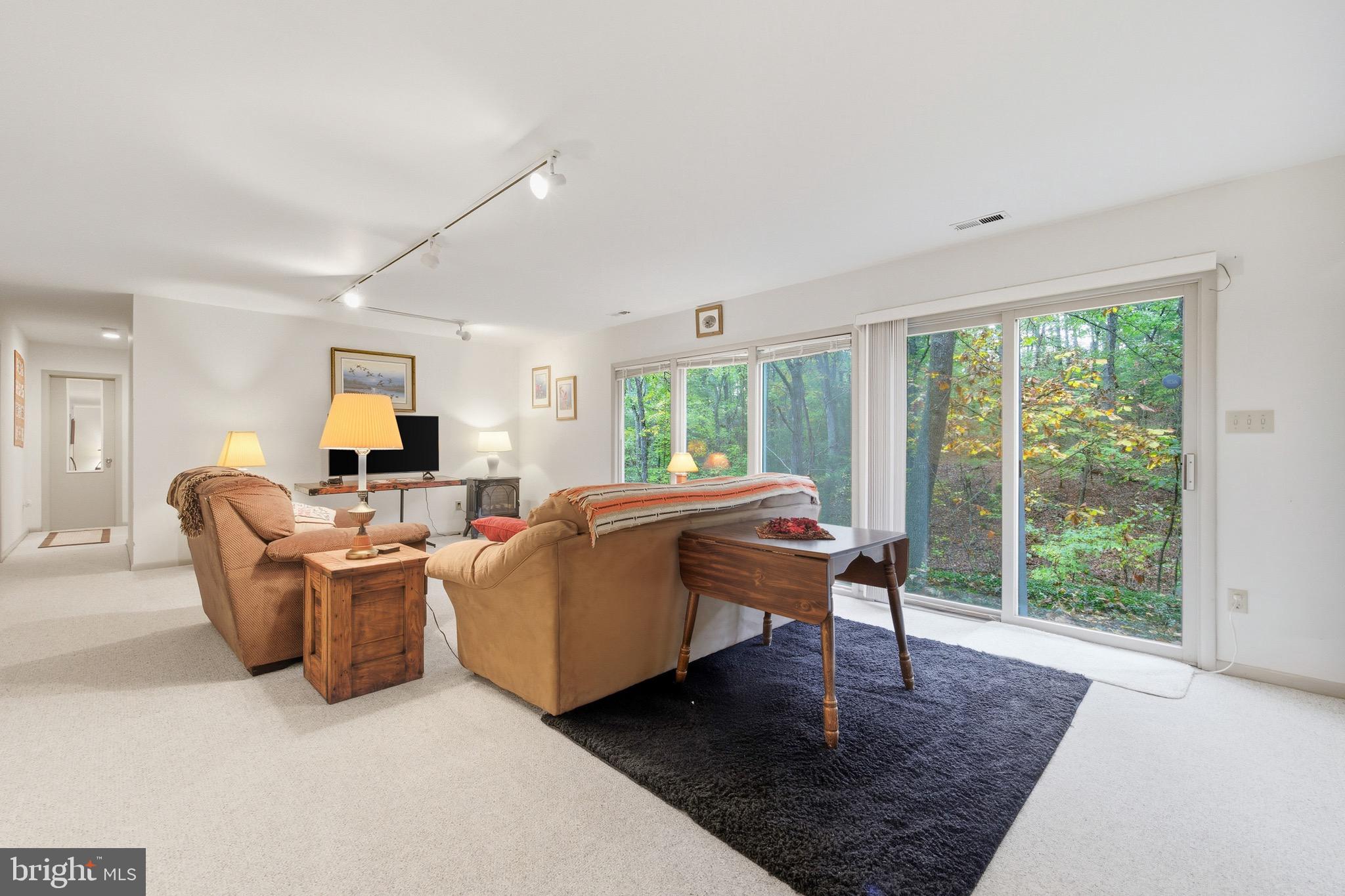16 Spruce Hollow Road Basye, VA 22842 - Photo 35 of 50 a living room with furniture a large window and a rug