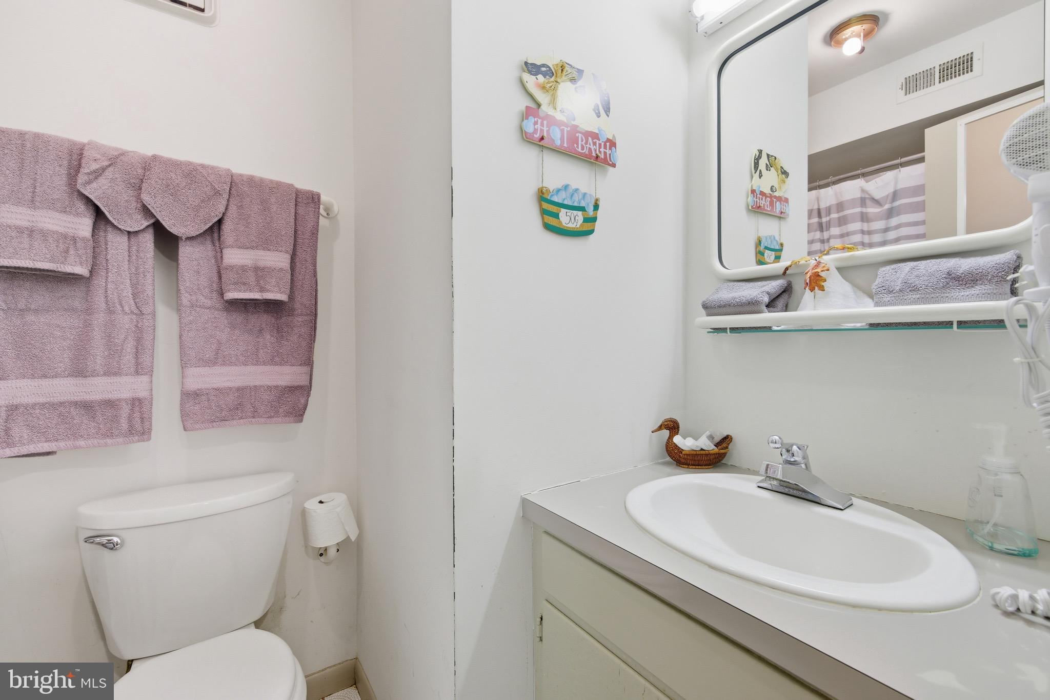 16 Spruce Hollow Road Basye, VA 22842 - Photo 39 of 50 a bathroom with a sink a toilet and vanity