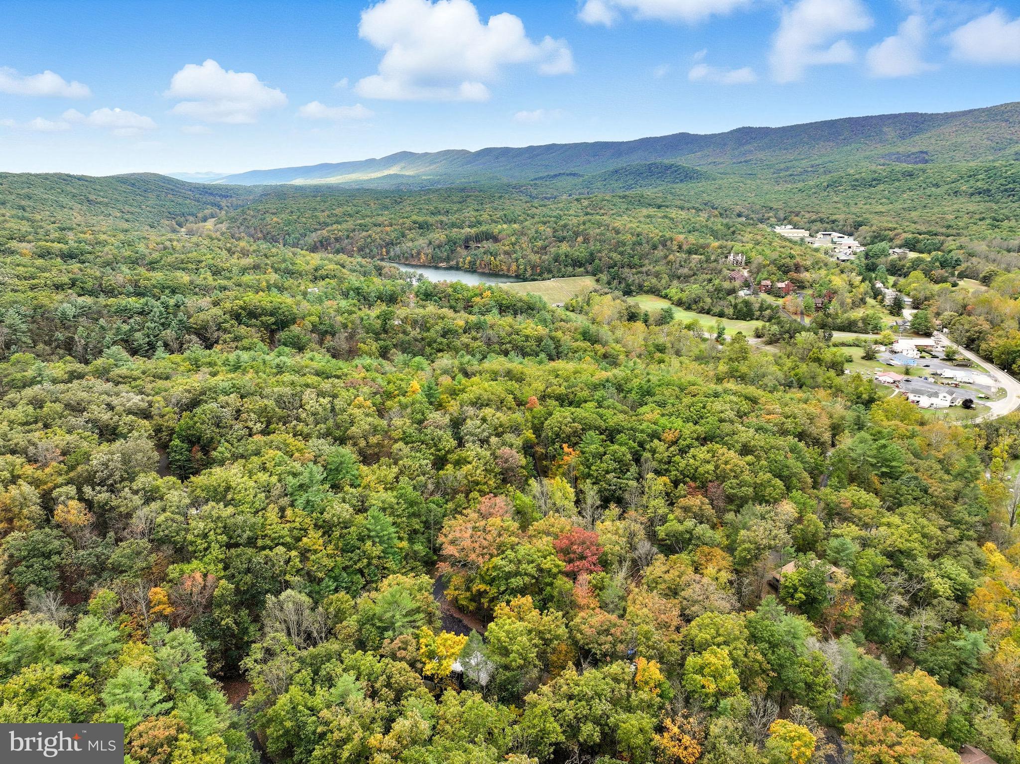 16 Spruce Hollow Road Basye, VA 22842 - Photo 41 of 50 a view of a city with lush green forest