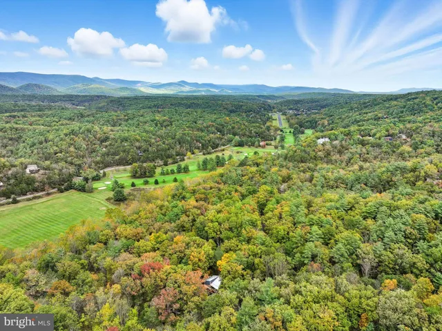 a view of a lake with a city