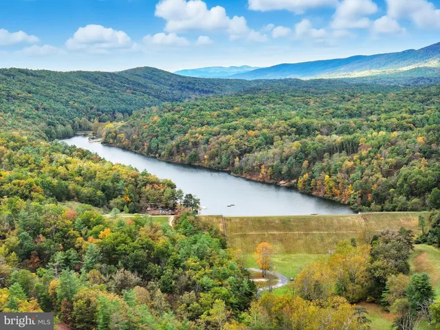 a view of a yard with plants
