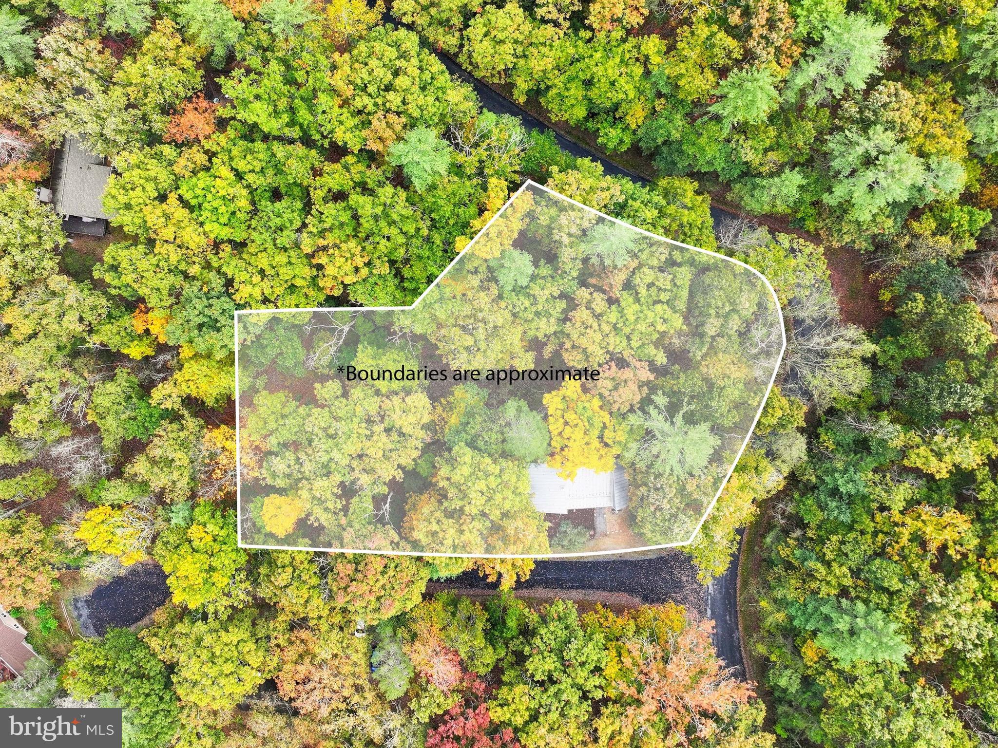 16 Spruce Hollow Road Basye, VA 22842 - Photo 48 of 50 a view of outside area