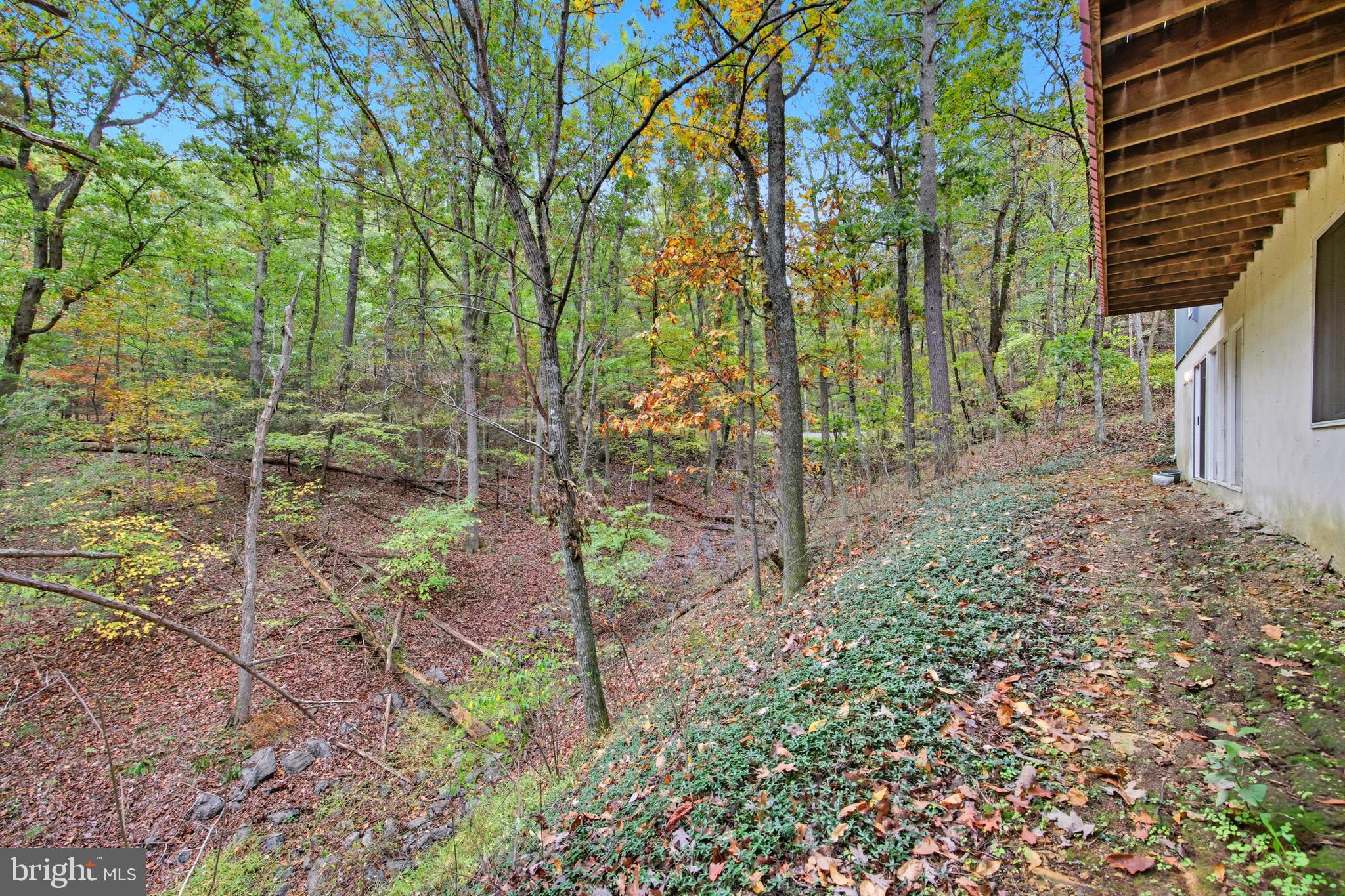 16 Spruce Hollow Road Basye, VA 22842 - Photo 50 of 50 a backyard of a house with lots of green space
