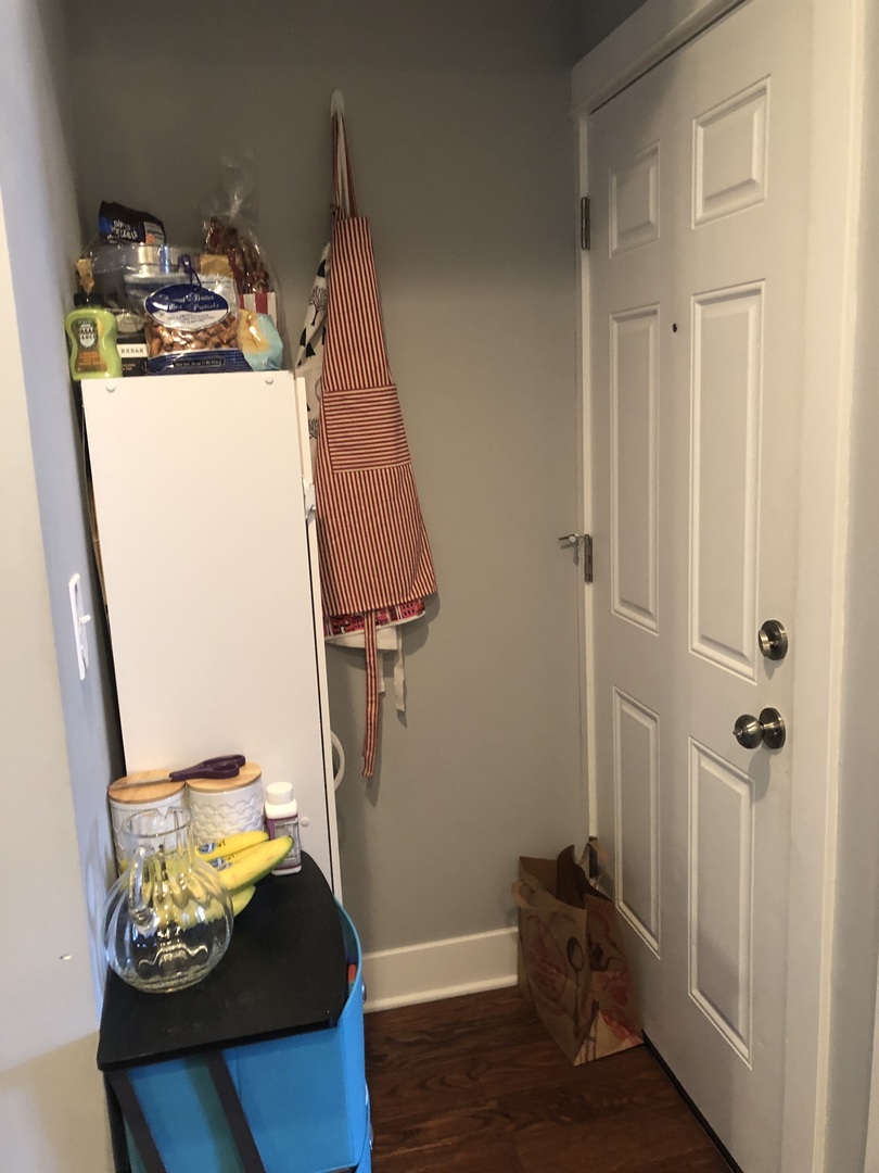 926 West George Street, Unit 3R Chicago, IL 60657 - Photo 19 of 21 a view of walk in closet