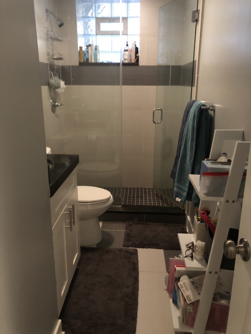 926 West George Street, Unit 3R Chicago, IL 60657 - Photo 5 of 21 a bathroom with a toilet and a mirror