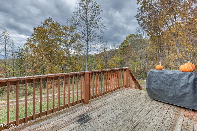 618 Henson Road Bristol, TN 37620 - Photo 23 of 51 618 Henson Rd-27-L