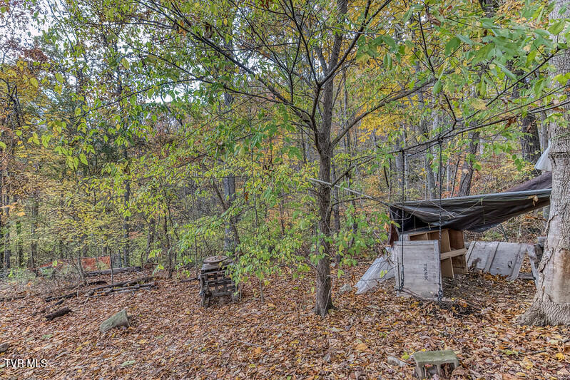 618 Henson Road Bristol, TN 37620 - Photo 35 of 51 618 Henson Rd-46-L
