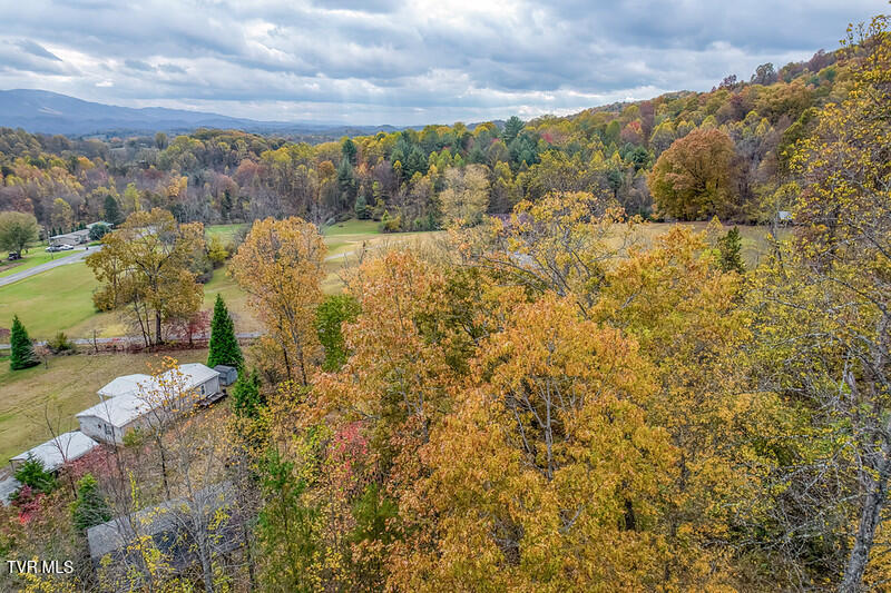 618 Henson Road Bristol, TN 37620 - Photo 40 of 51 618 Henson Rd-50-L