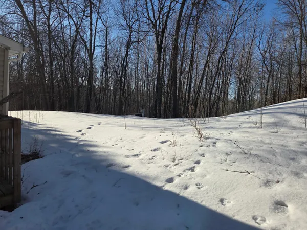 $119,000 | 7657 Front Street Northwest, Walker, MN 56484