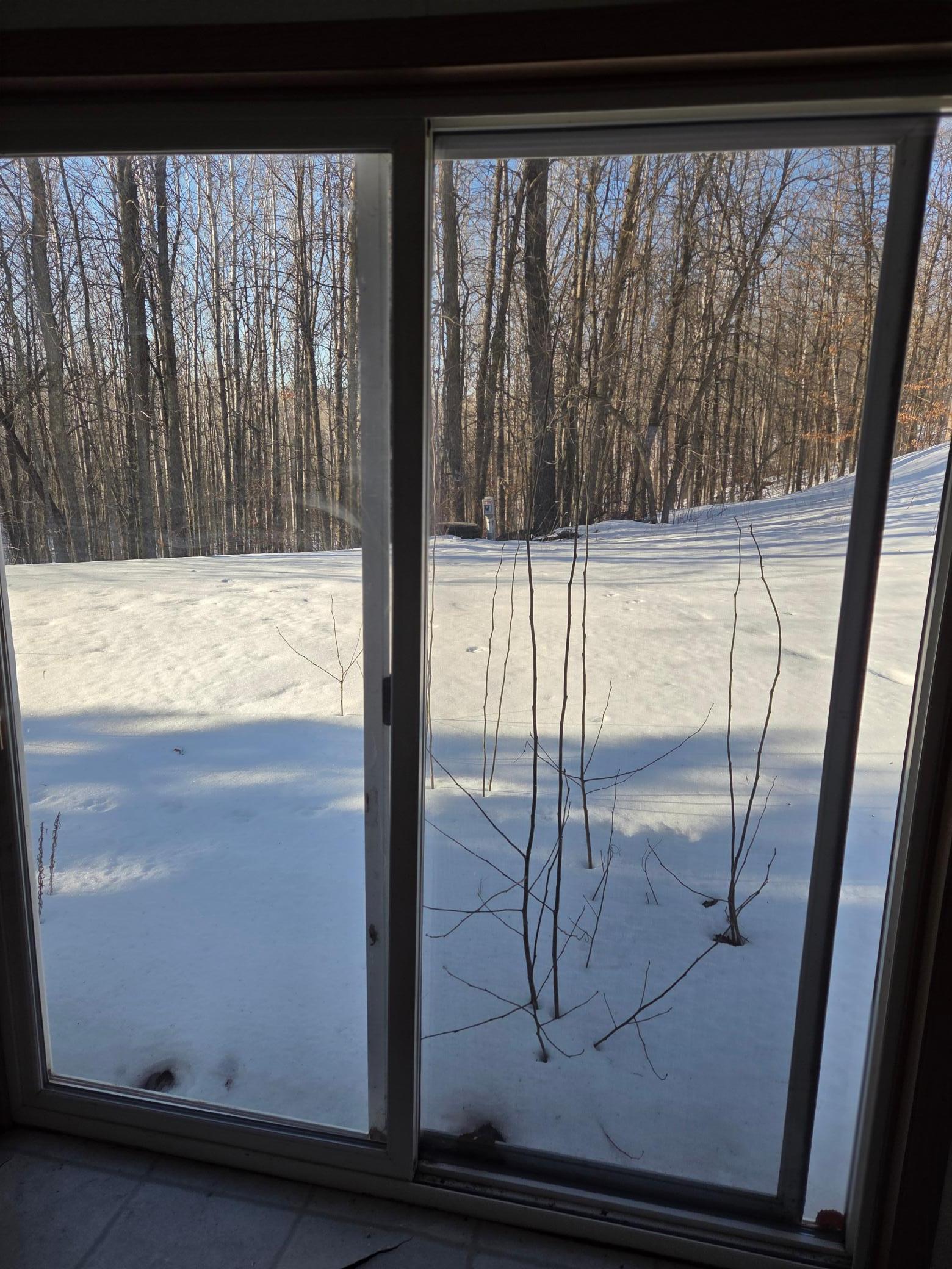 7657 Front Street Northwest Walker, MN 56484 - Photo 3 of 17