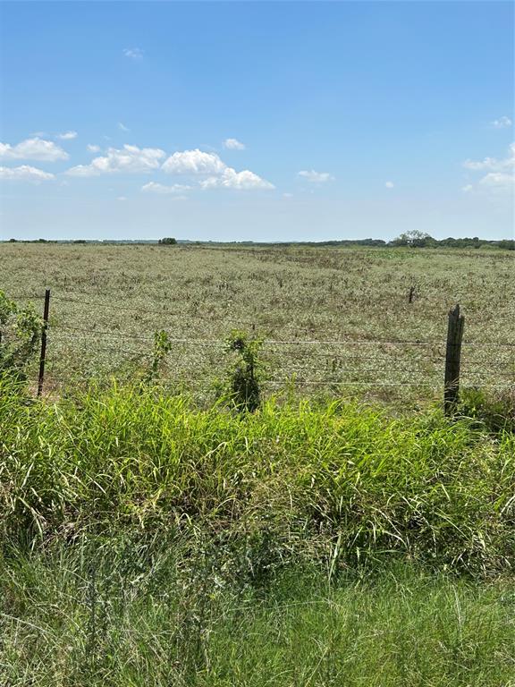 1170 Airport Road Tioga, TX 76271 - Photo 11 of 14 Open pastures
