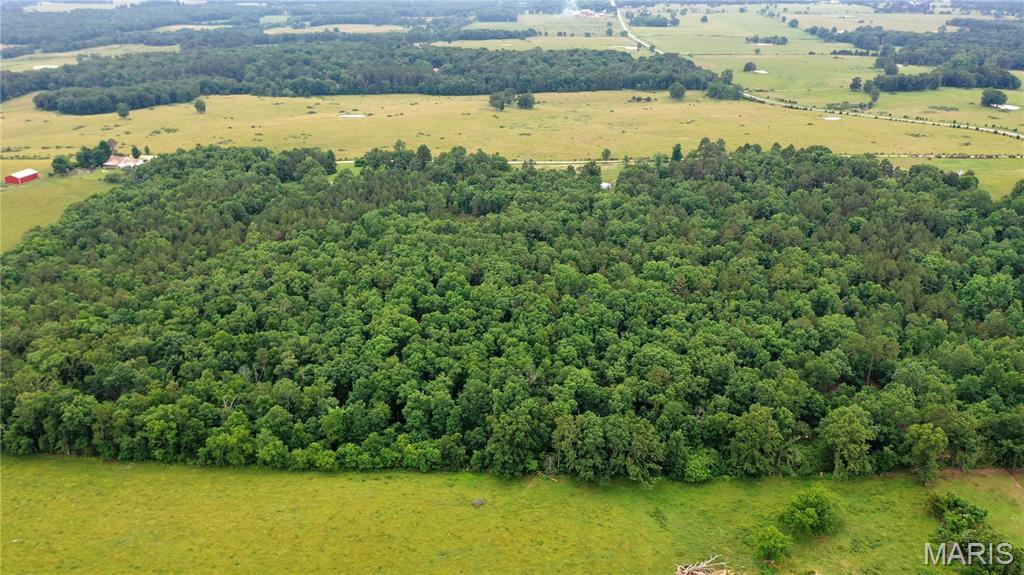 22711 Center Valley Road Hartshorn, MO 65479 - Photo 3 of 66