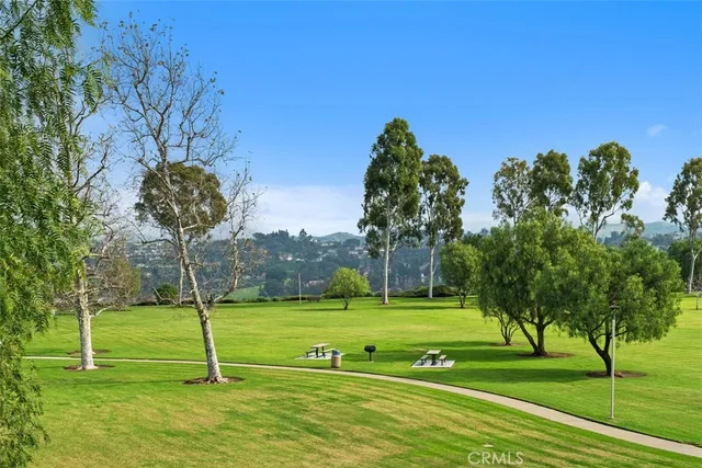 a view of a park with large trees