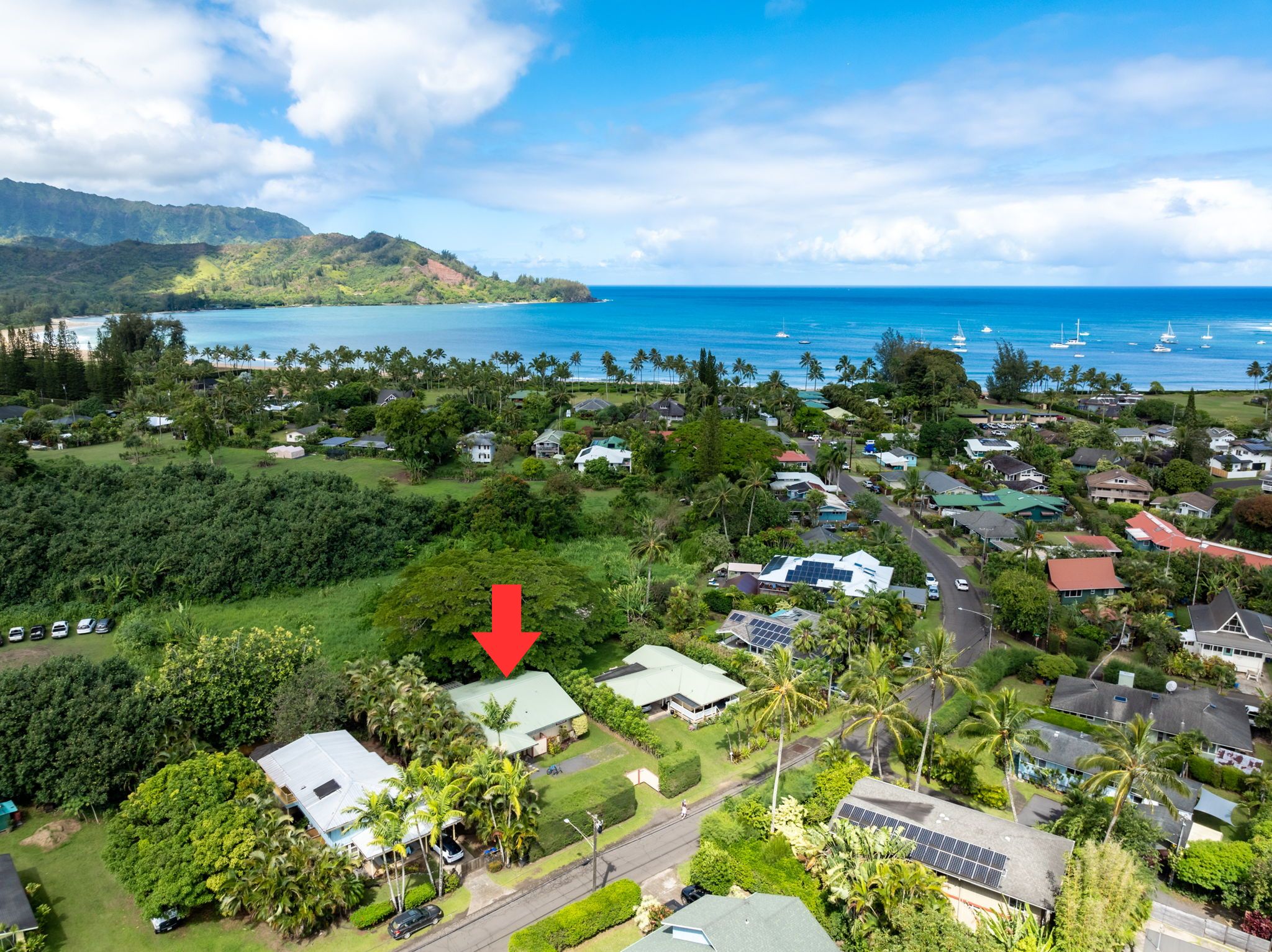 4460 Aku Road Hanalei, HI 96714 - Photo 1 of 30 an aerial view of residential houses with outdoor space and trees