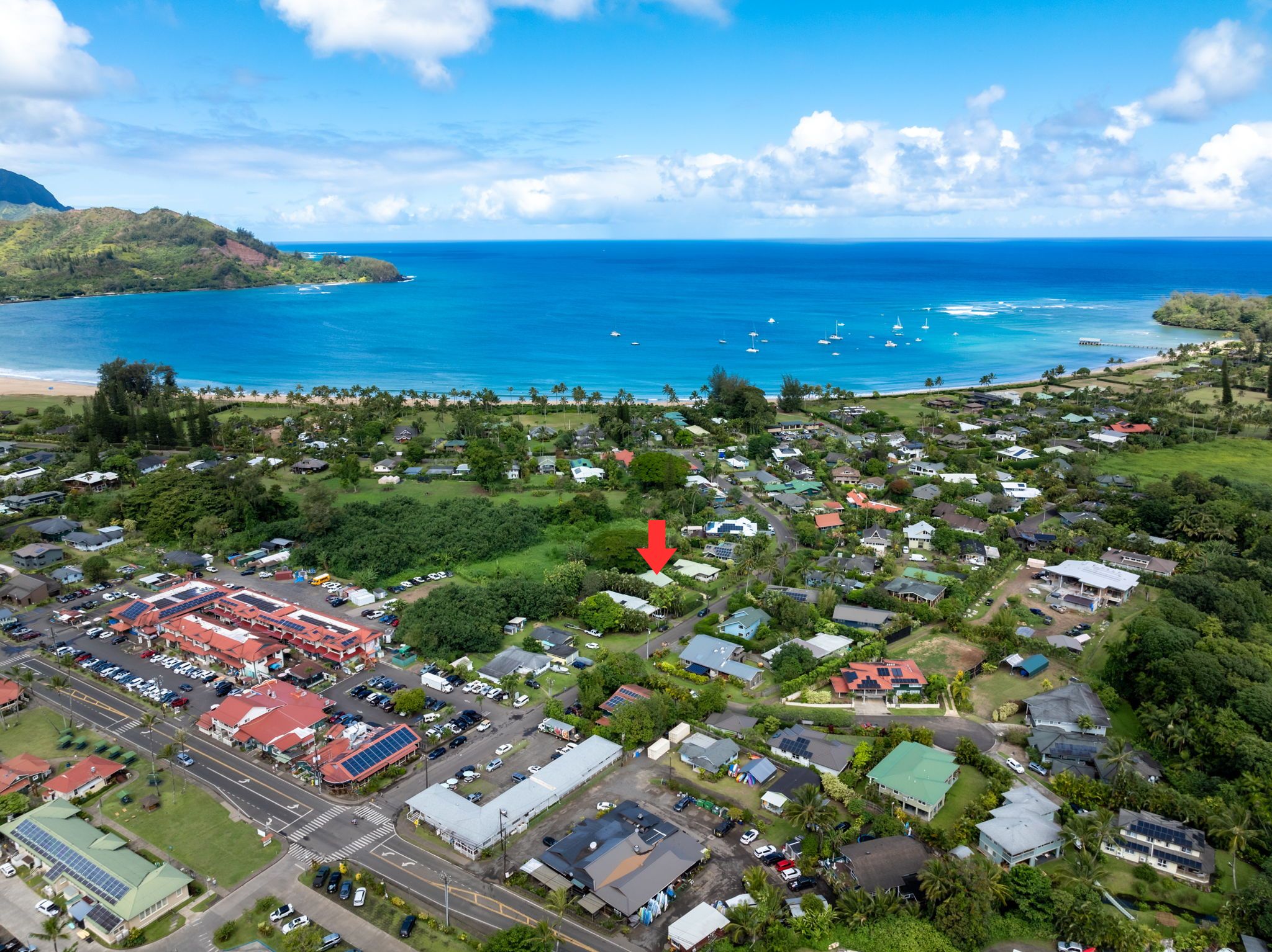4460 Aku Road Hanalei, HI 96714 - Photo 29 of 30