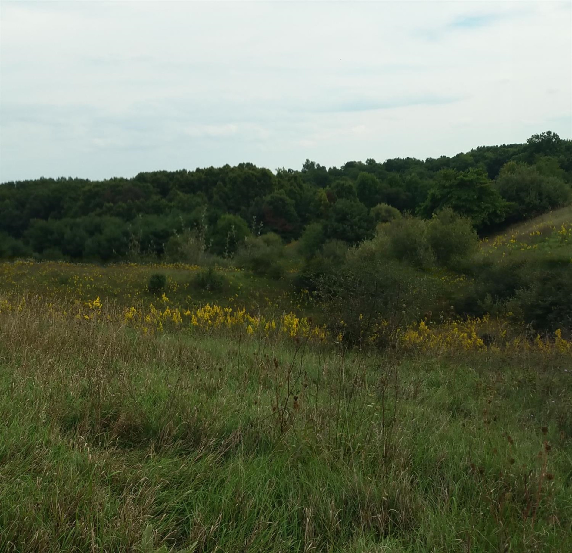 0 Hawkins Road Jackson, MI 49201 - Photo 1 of 10 Photo 1