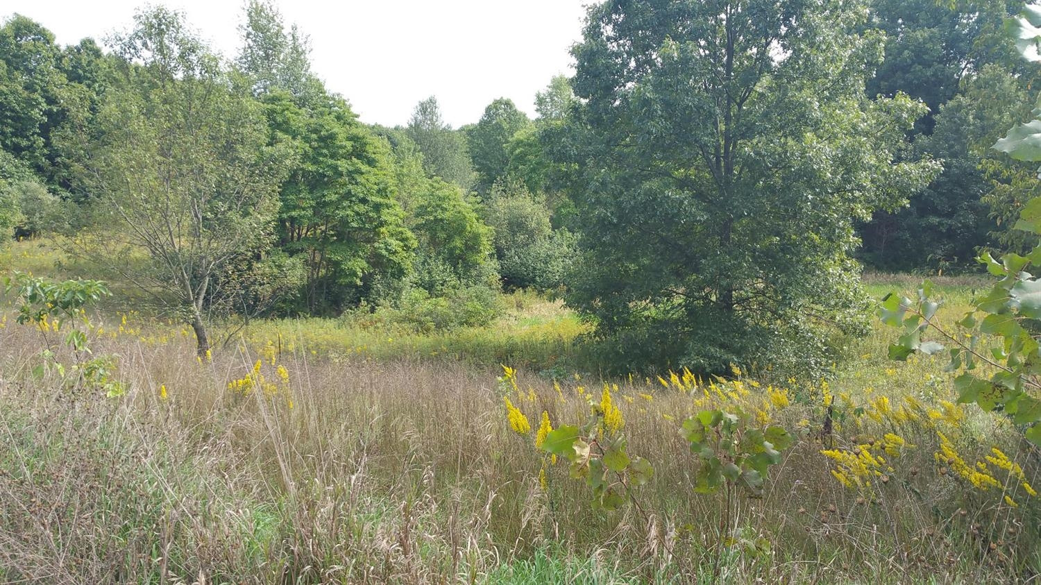 0 Hawkins Road Jackson, MI 49201 - Photo 2 of 10 Photo 2