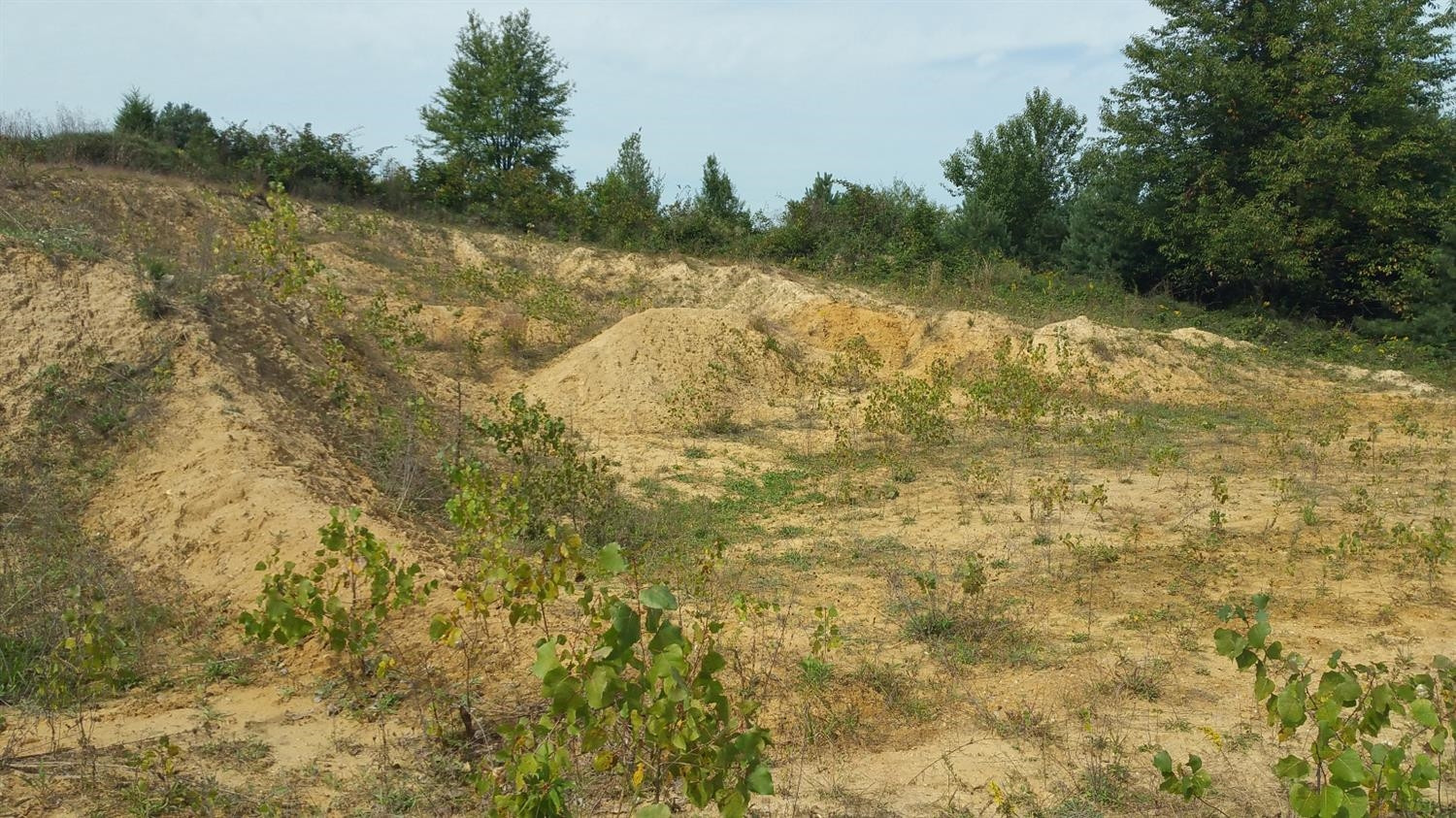 0 Hawkins Road Jackson, MI 49201 - Photo 3 of 10 Photo 3