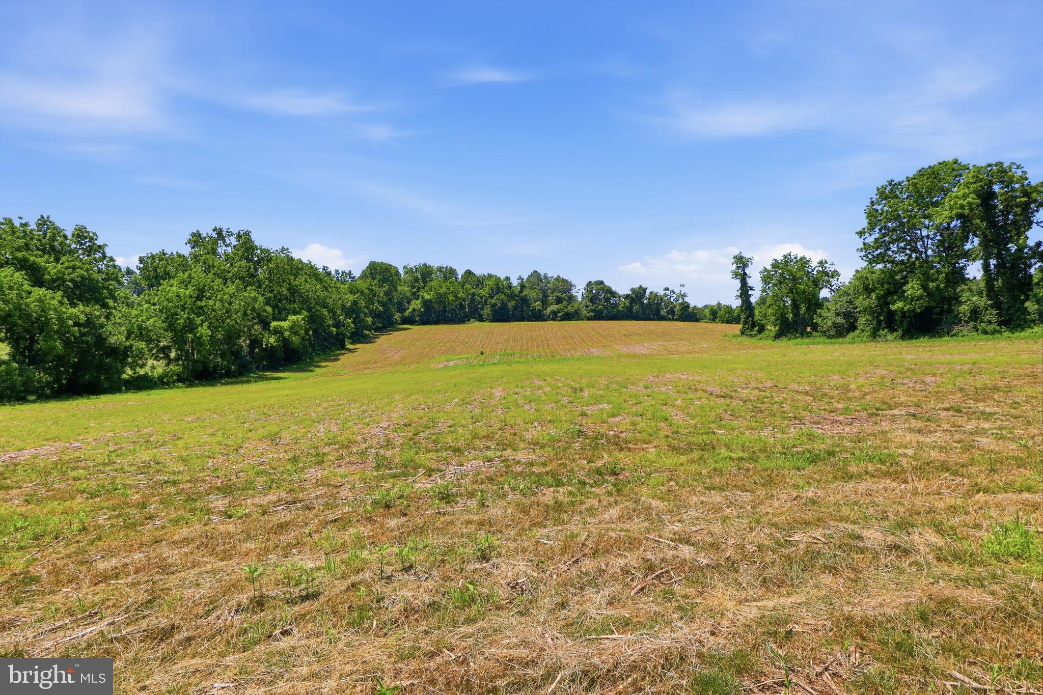 3555 Mill Green Road Street, MD 21154 - Photo 74 of 106