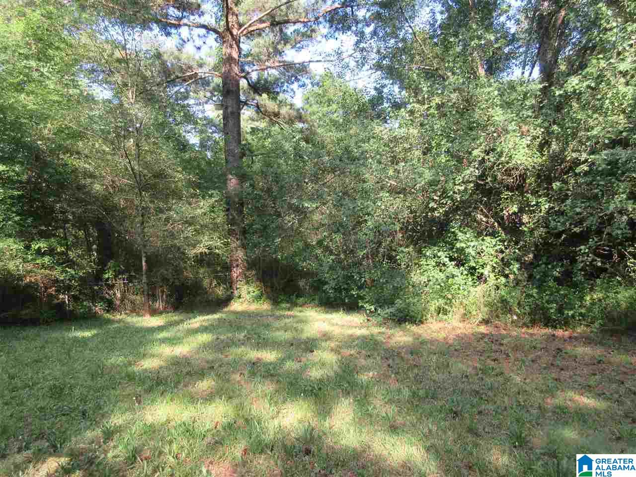 1015 Pleasant View Road Bessemer, AL 35020 - Photo 4 of 20