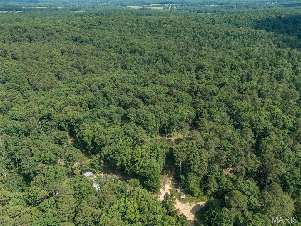 10130 Fish Hook Road Potosi, MO 63664 - Photo 2 of 29