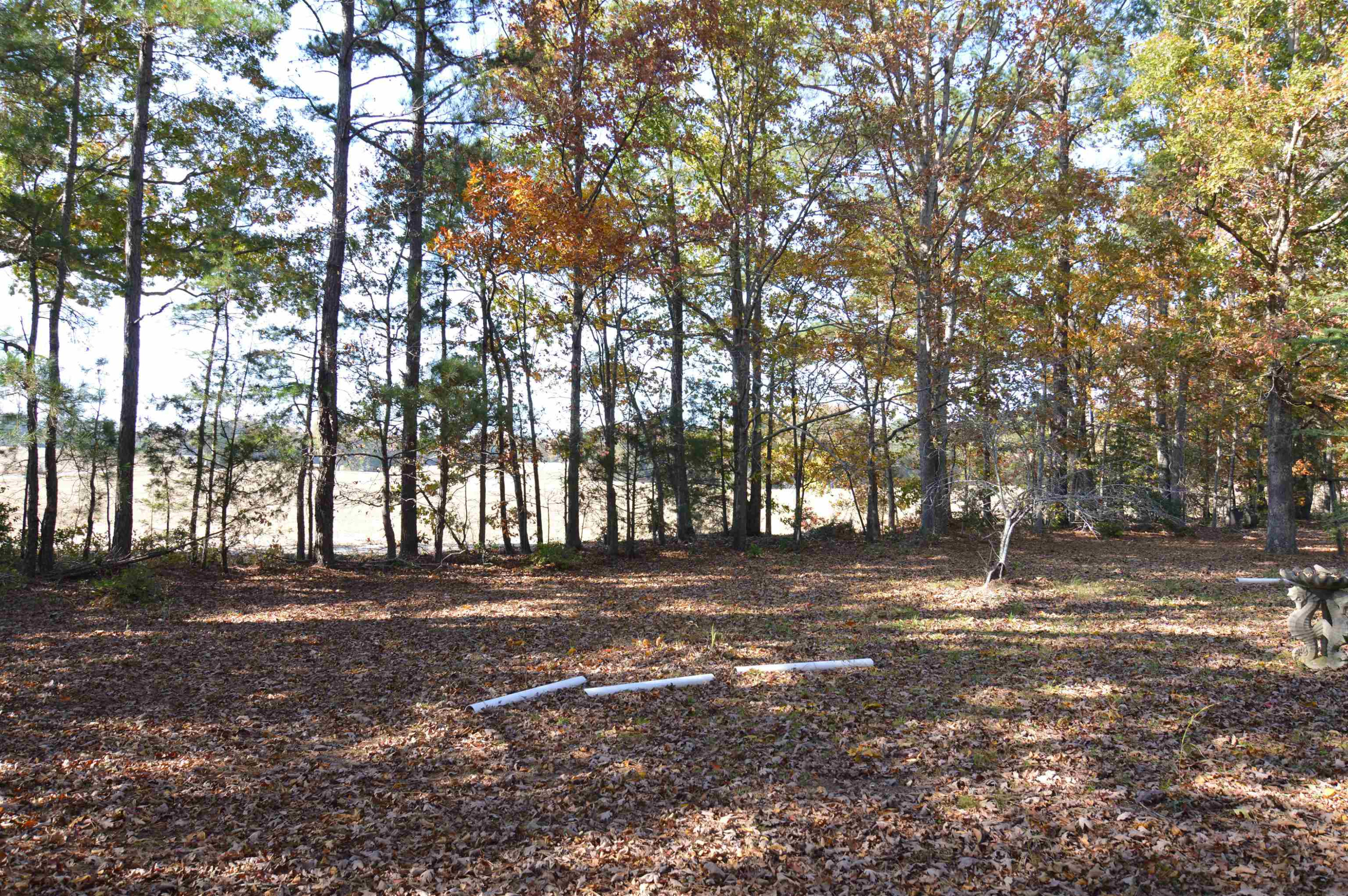 6828 Ridge Spring Road Zebulon, NC 27597 - Photo 4 of 6 Photo 4